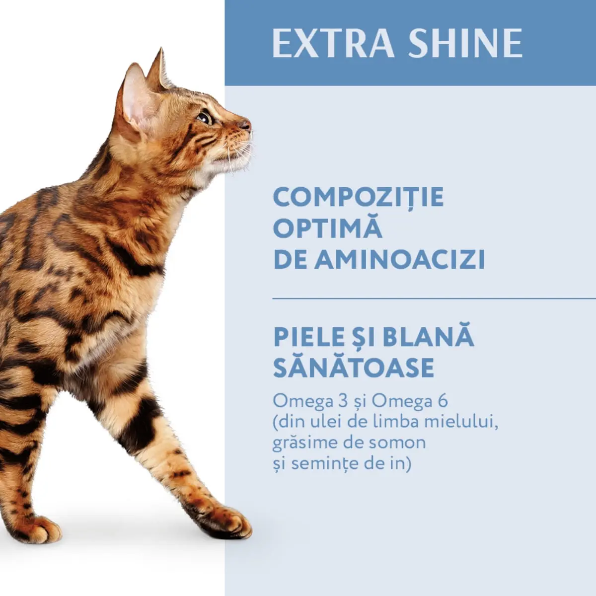 OPTIMEAL Extra Shine, Cod, hrana uscata pisici, piele si blana OPTIMEAL Extra Shine, Cod, hrana uscata pisici, piele & blana, 700g - Image 6