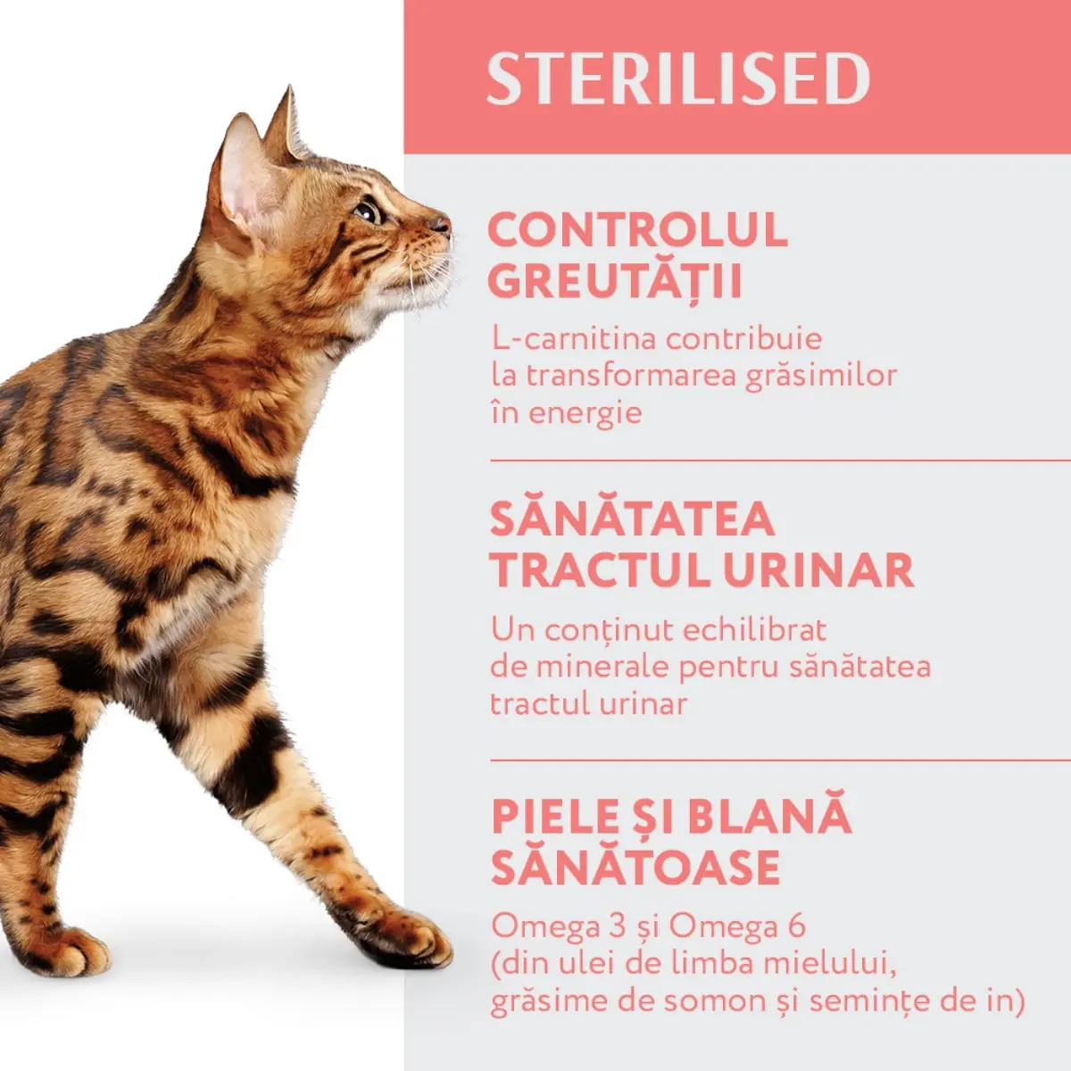 OPTIMEAL Sterilised, Vita cu Sorg, hrana uscata pisici sterilizate OPTIMEAL Sterilised, Vita, hrana uscata pisici sterilizate, 10kg - Image 4