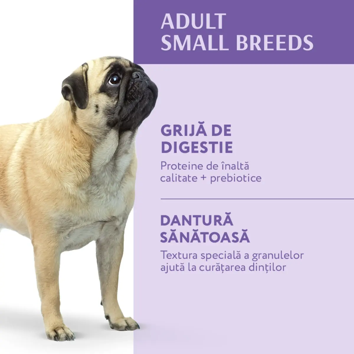 OPTIMEAL Adult XS-S, Rata, hrana uscata caini OPTIMEAL Adult, XS-S, Rata, hrana uscata caini, 4kg - Image 7