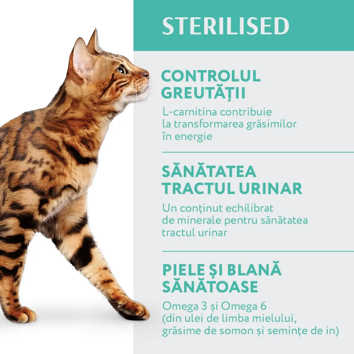 OPTIMEAL Sterilised, Curcan cu Ovaz, hrana uscata pisici sterilizate OPTIMEAL Sterilised, Curcan, hrana uscata pisici sterilizate, 700g - Image 9