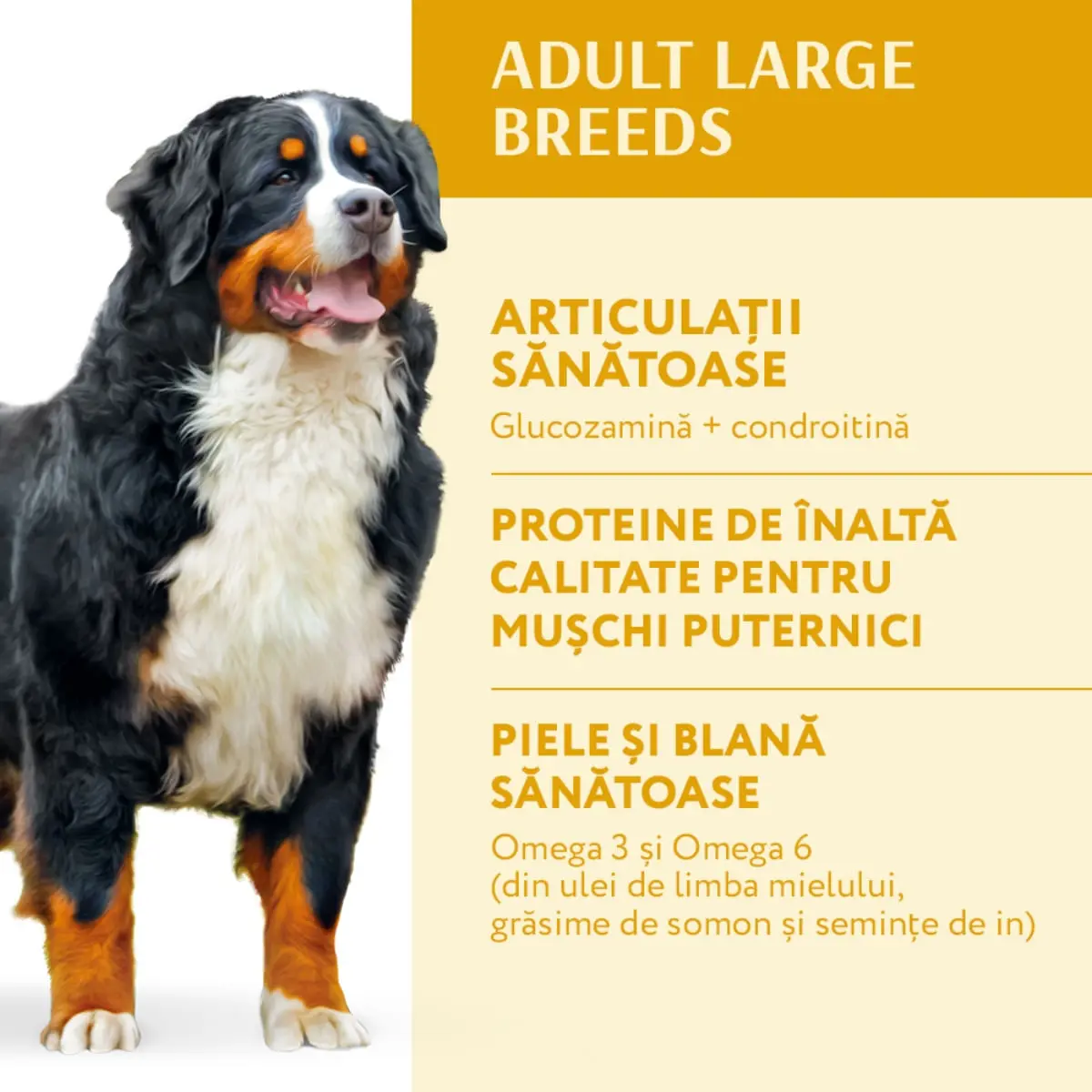 OPTIMEAL Adult L-XL, Pui, hrana uscata caini OPTIMEAL Adult, L-XL, Pui, hrana uscata caini, 12kg - Image 6