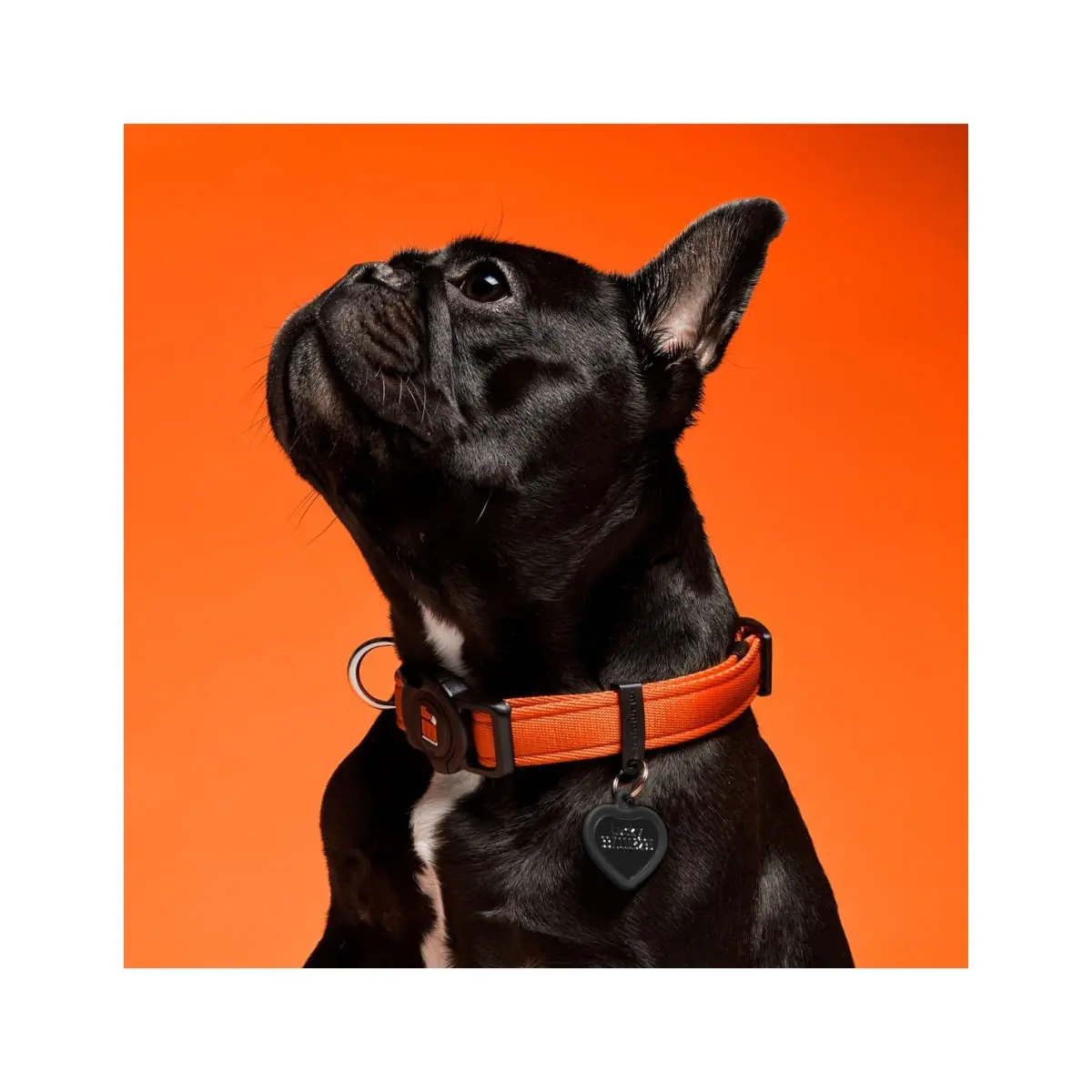 MYFAMILY Memopet, zgarda ajustabila cu NFC caini, textil, 44-68cm, orange - Image 4