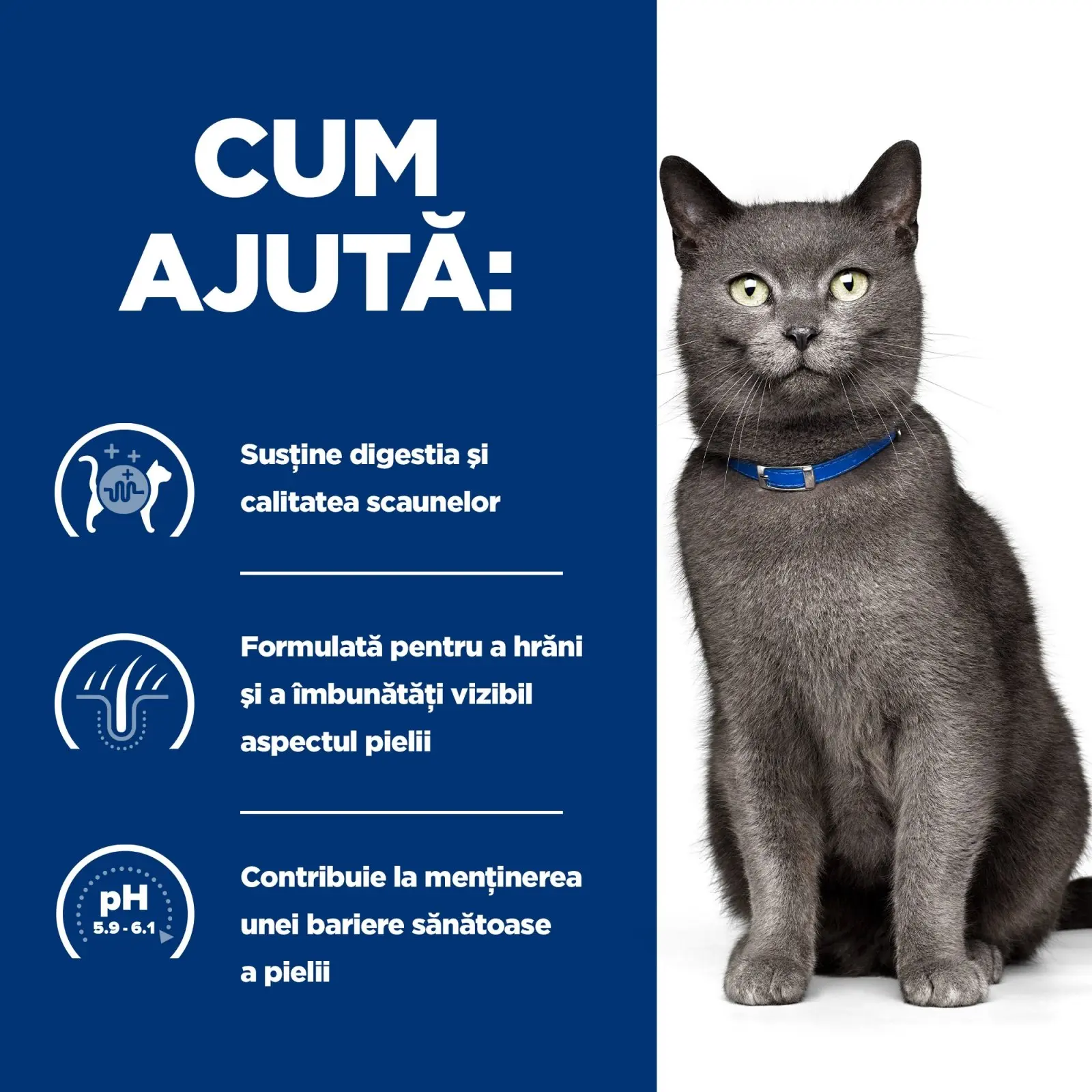 HILL'S Prescription Diet d/d, Rata cu Mazare, dieta veterinara pisici, hrana uscata, sensibilitati digestive HILL'S Prescription Diet d/d, Rata cu Mazare, dieta veterinara pisici, hrana uscata, piele & blana, sistem digestiv, 3kg - Image 16