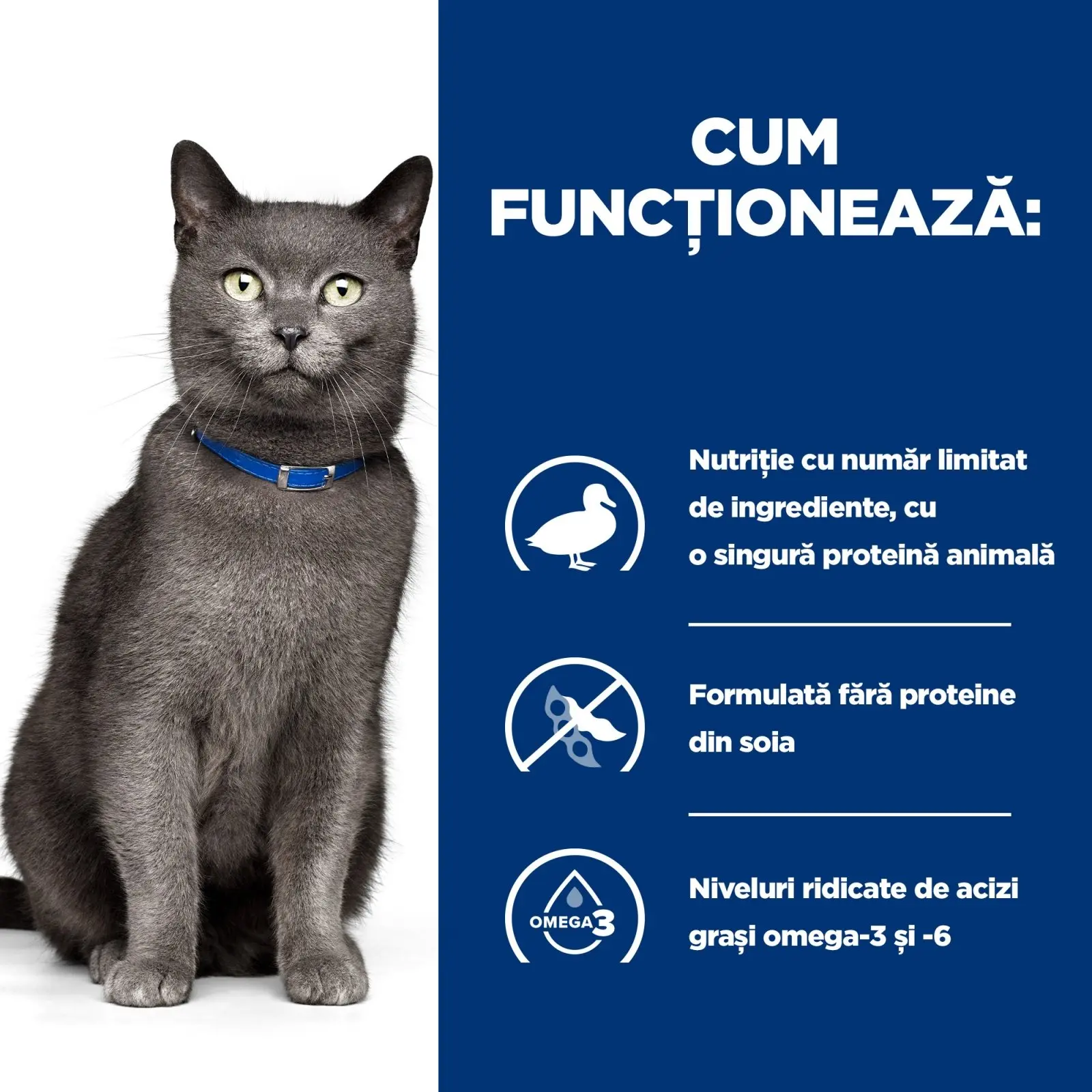 HILL'S Prescription Diet d/d, Rata cu Mazare, dieta veterinara pisici, hrana uscata, sensibilitati digestive HILL'S Prescription Diet d/d, Rata cu Mazare, dieta veterinara pisici, hrana uscata, afectiuni dermatologice si sistem digestiv, 1.5kg - Image 18