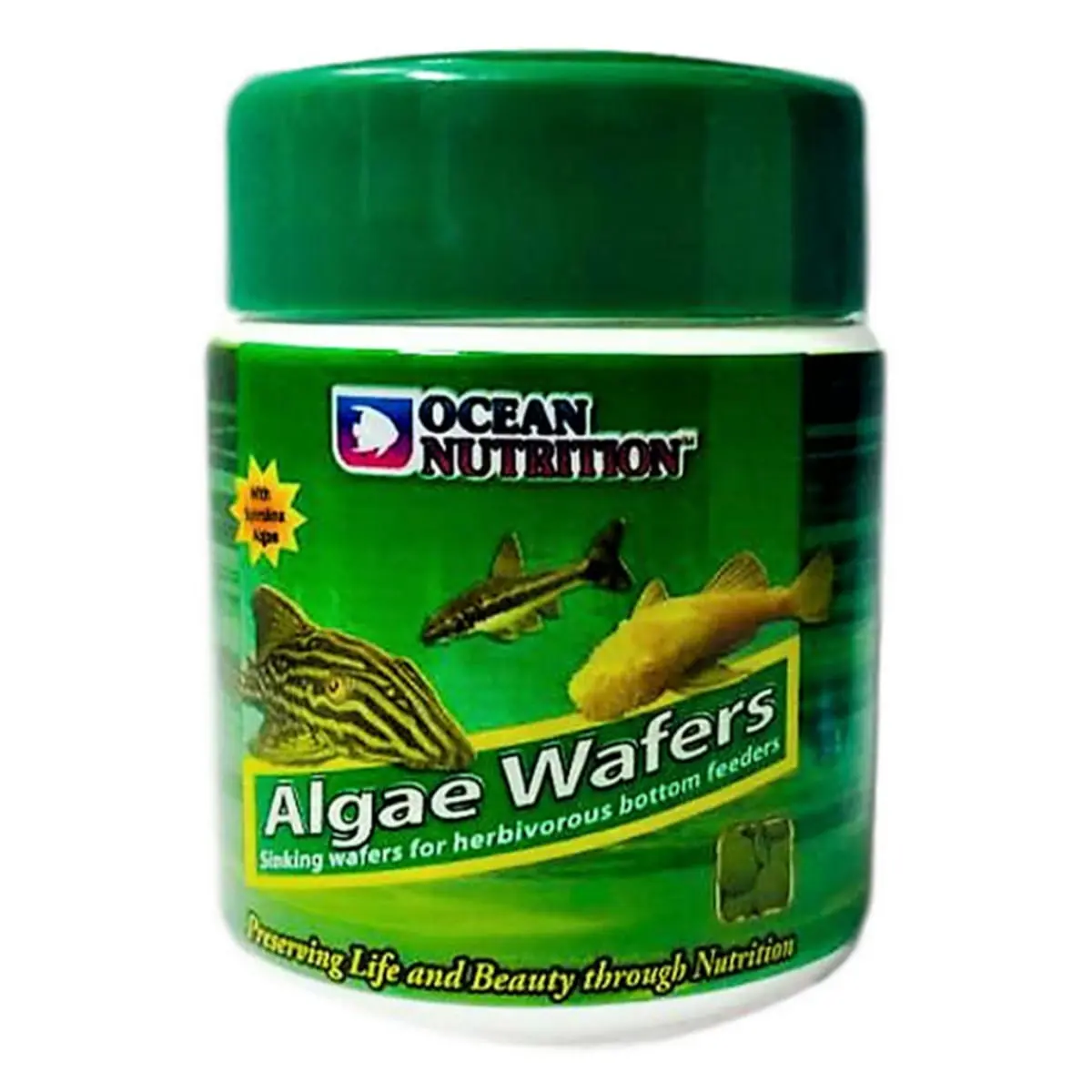 OCEAN NUTRITION Algae Wafers, 150g - Image 2