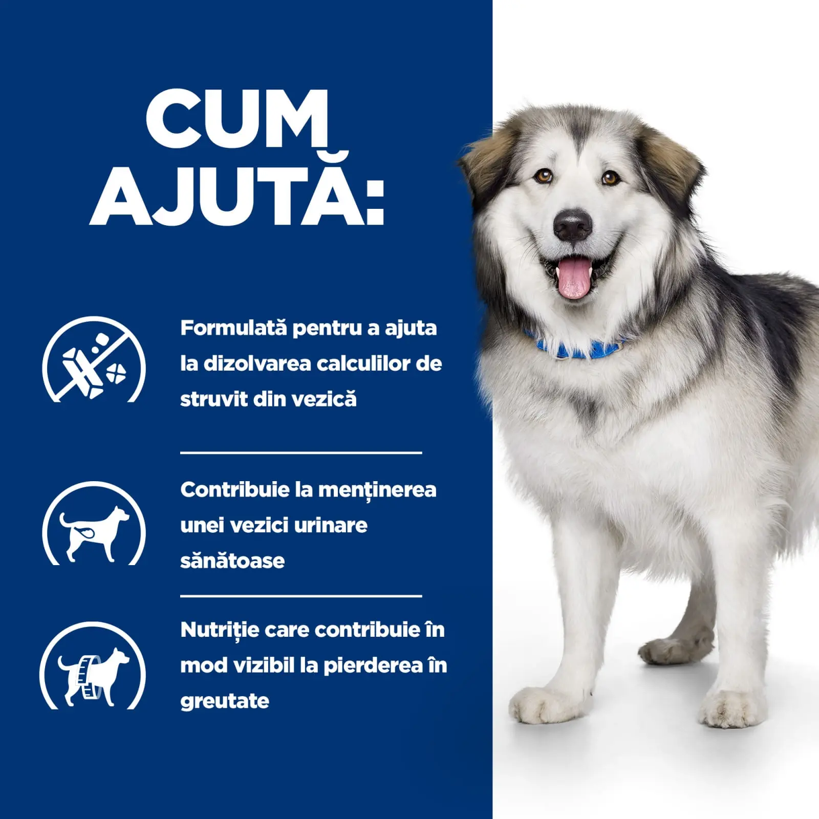 HILL'S Prescription Diet c/d Urinary + Weight Care + Metabolic, Pui, dieta veterinara caini, hrana uscata, afectiuni urinare si metabolice HILL'S Prescription Diet c/d Urinary + Metabolic, Pui, dieta veterinara caini, hrana uscata, sistem urinar, metabol - Image 9