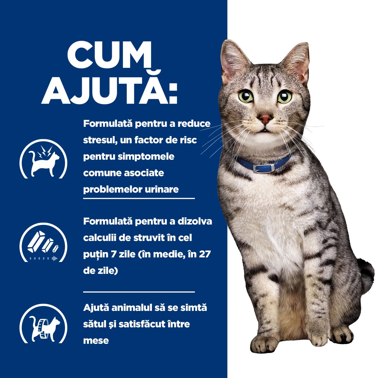 HILL'S Prescription Diet c/d Stress + Metabolic, Pui, dieta veterinara pisici, plic hrana umeda, sistem urinar, metabolism, (in sos), bax, 85g x 12buc - Image 6