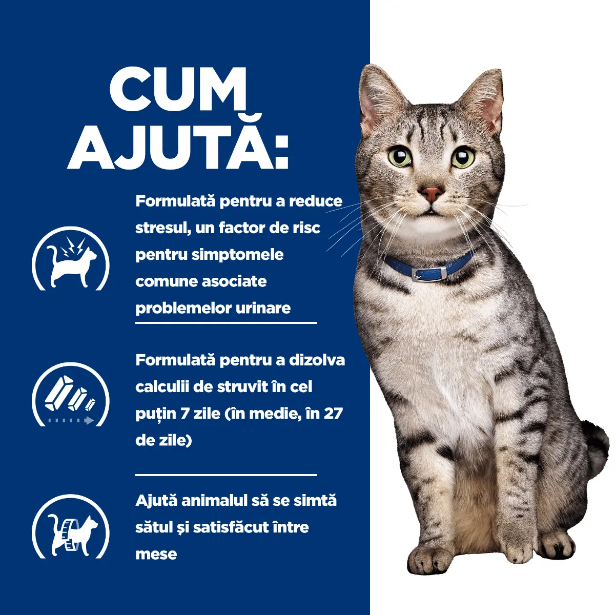 HILL'S Prescription Diet c/d Stress + Metabolic, Pui, dieta veterinara pisici, plic hrana umeda, sistem urinar, metabolism, (in sos), bax, 85g x 12buc - Image 7