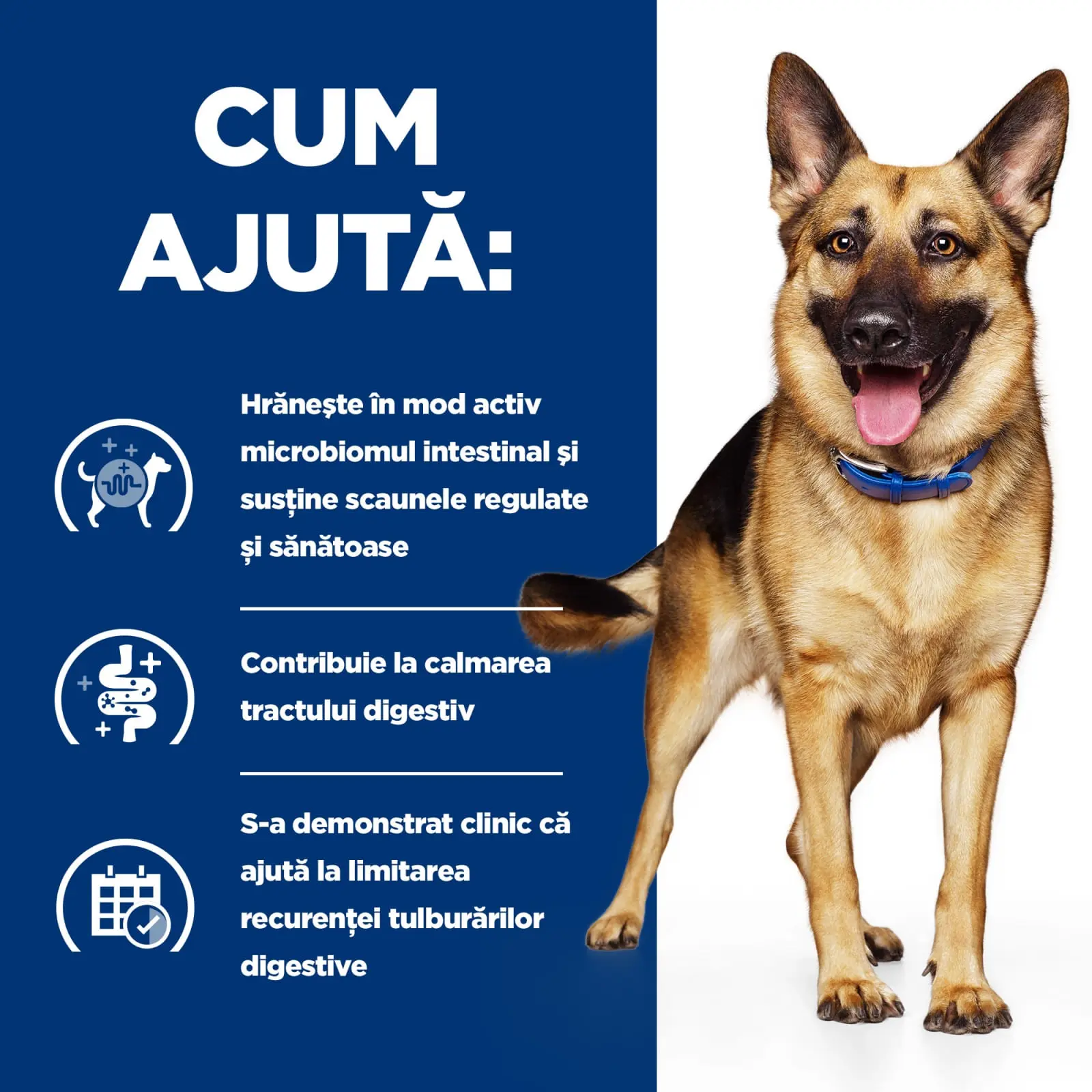 HILL'S Prescription Diet Gastrointestinal Biome, Pui cu Legume, dieta veterinara caini, conserva hrana umeda, sistem digestiv, 354g - Image 3