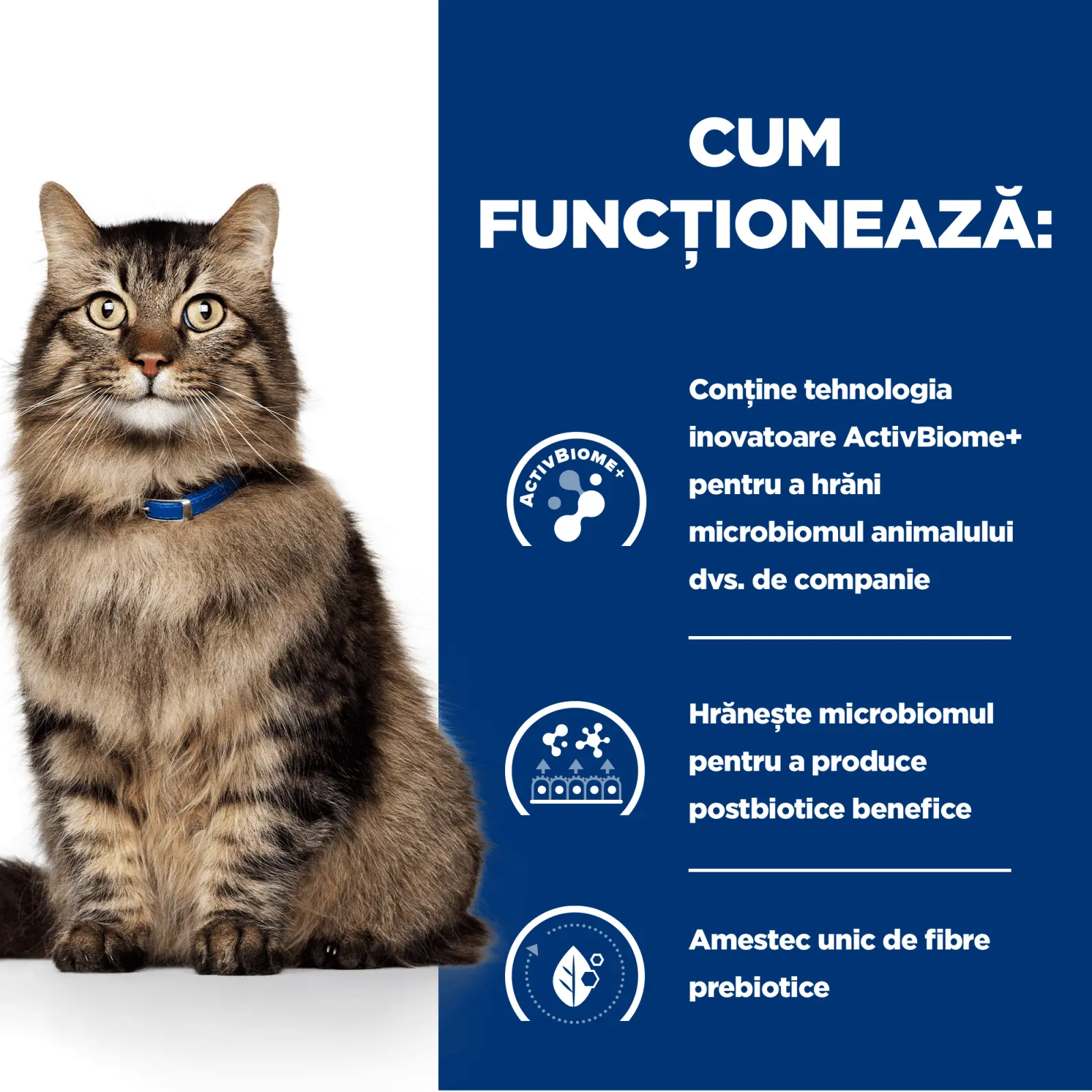 HILL'S Prescription Diet Gastrointestinal Biome, Pui cu Legume, dieta veterinara pisici, conserva hrana umeda, sistem digestiv, 82g - Image 4