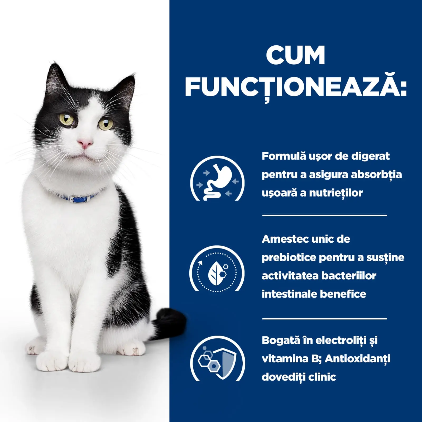 HILL'S Prescription Diet i/d Sensitive Digestive Care, Pui cu Legume, dieta veterinara pisici, conserva hrana umeda, sistem digestiv, 82g - Image 6