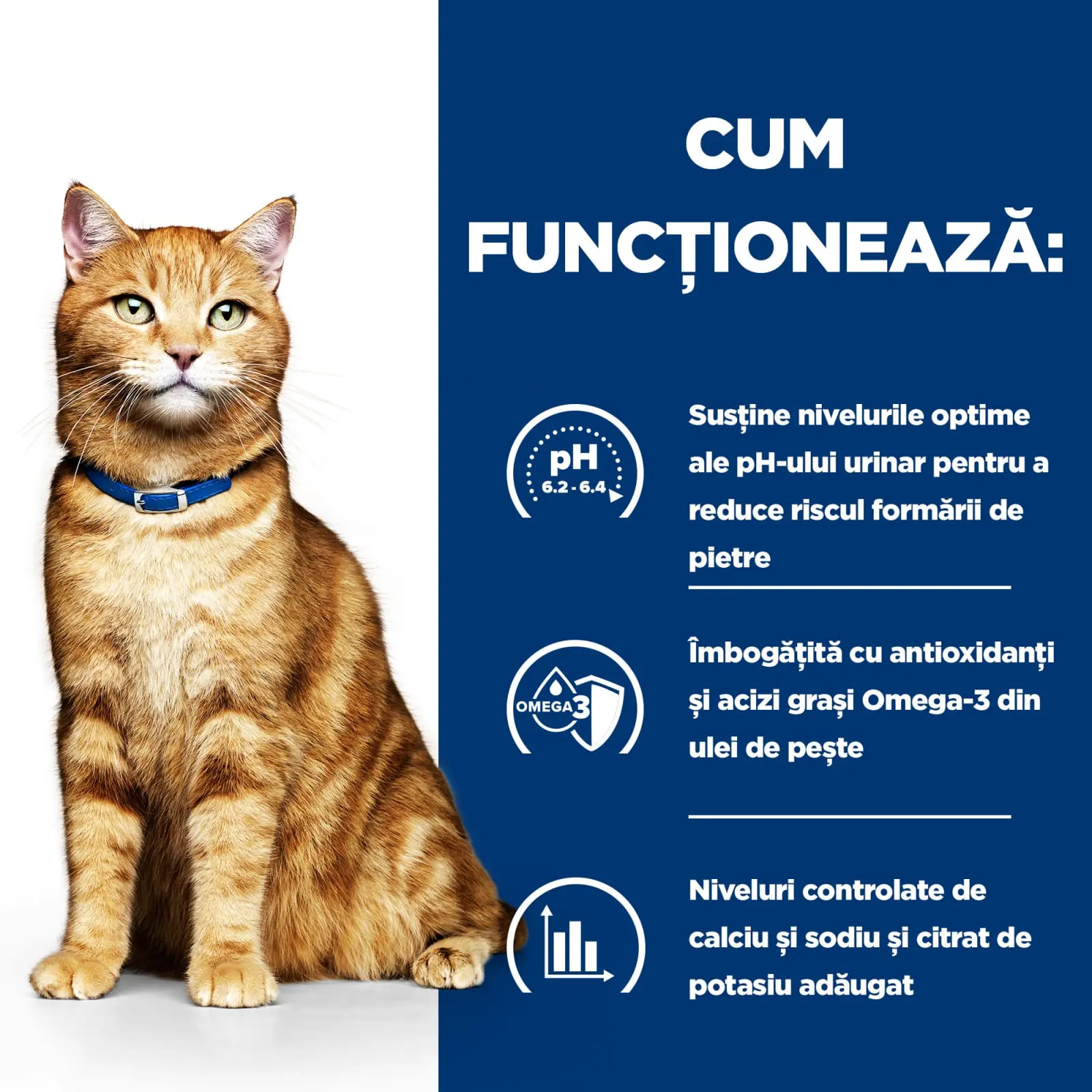 HILL'S Prescription Diet c/d Urinary, Somon, dieta veterinara pisici, plic hrana umeda, sistem urinar, 85g x 12buc - Image 7