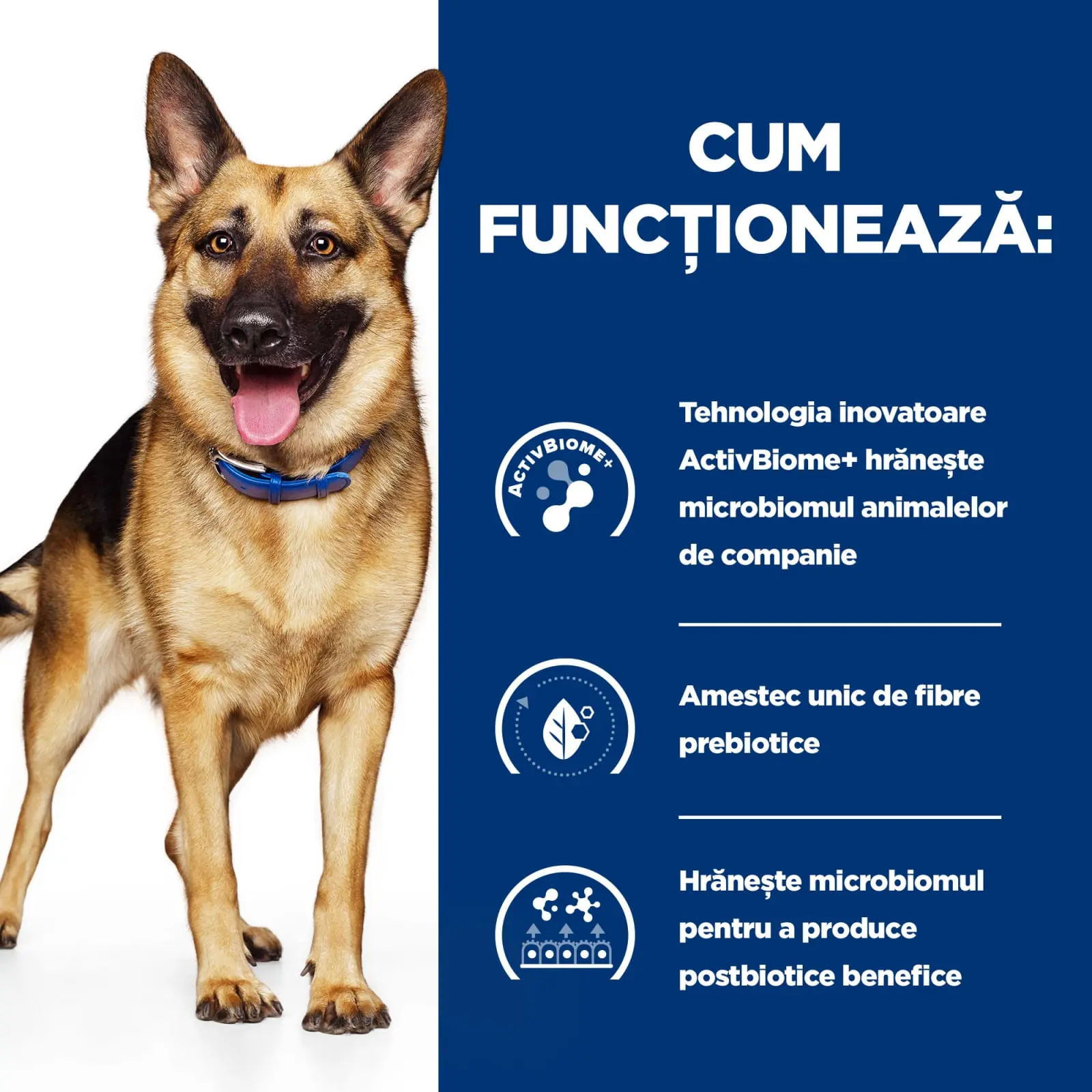 HILL'S Prescription Diet Gastrointestinal Biome, Pui cu Legume, dieta veterinara caini, conserva hrana umeda, sistem digestiv, 354g - Image 6