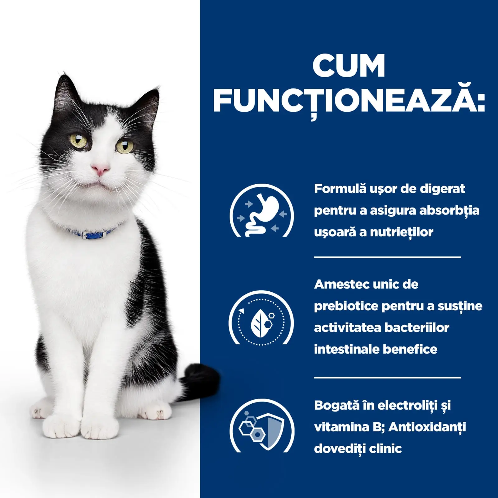 HILL'S Prescription Diet i/d Sensitive Digestive Care, Pui, dieta veterinara pisici, conserva hrana umeda, sistem digestiv, 156g - Image 3