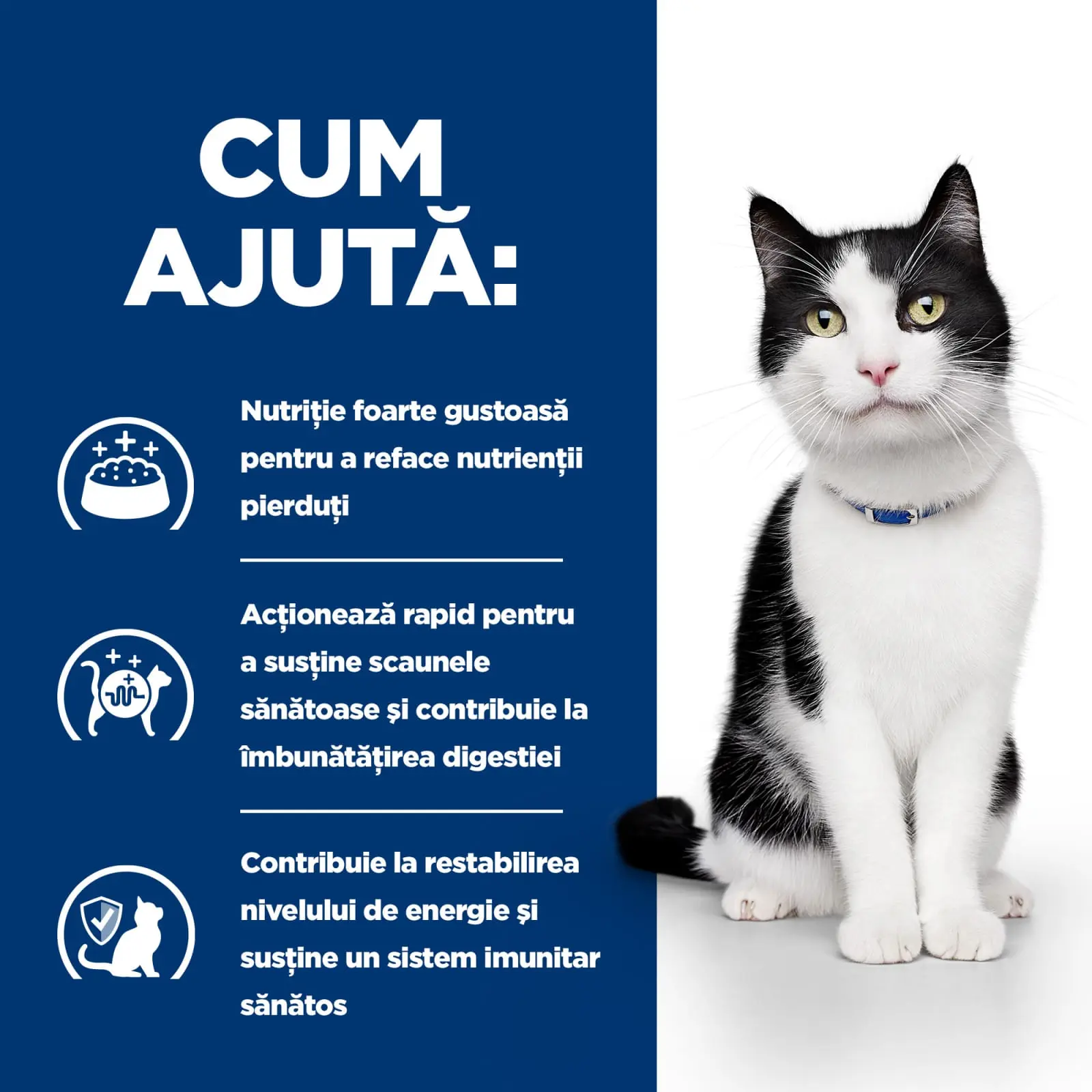 HILL'S Prescription Diet i/d Sensitive Digestive Care, Pui cu Legume, dieta veterinara pisici, conserva hrana umeda, sistem digestiv, 82g - Image 8