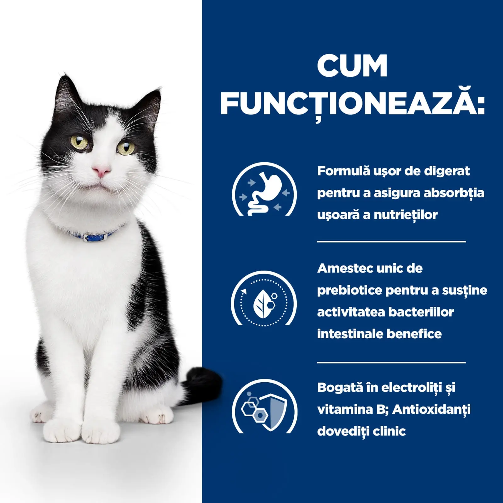 HILL'S Prescription Diet i/d Sensitive Digestive Care, Somon, dieta veterinara pisici, plic hrana umeda, sistem digestiv, 85g x 12buc - Image 2