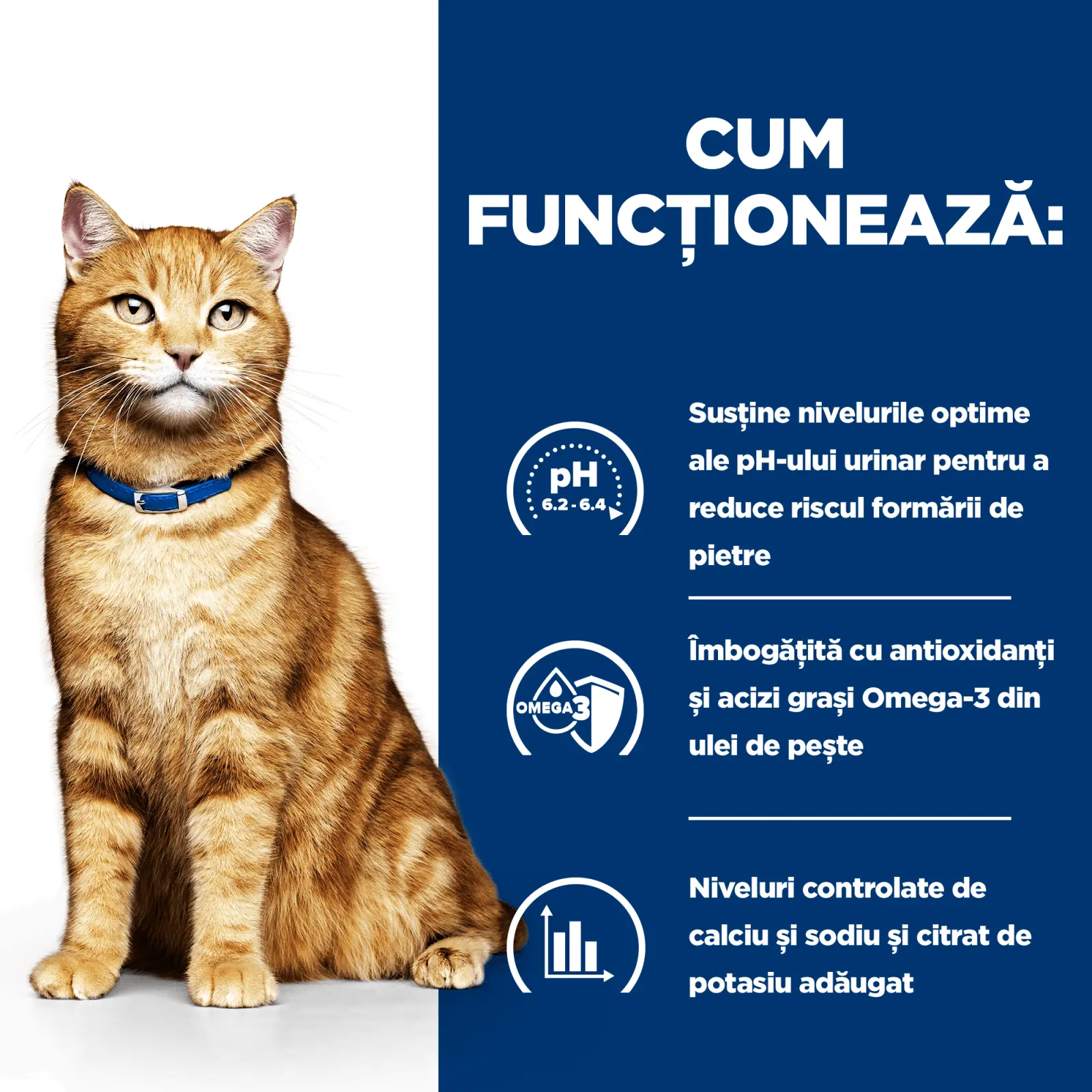HILL'S Prescription Diet c/d Urinary, Pui cu Legume, dieta veterinara pisici, conserva hrana umeda, afectiuni urinare HILL'S Prescription Diet c/d Urinary Care, Pui cu Legume, dieta veterinara pisici, conserva hrana umeda, sistem urinar, (in sos), 82g - Image 5