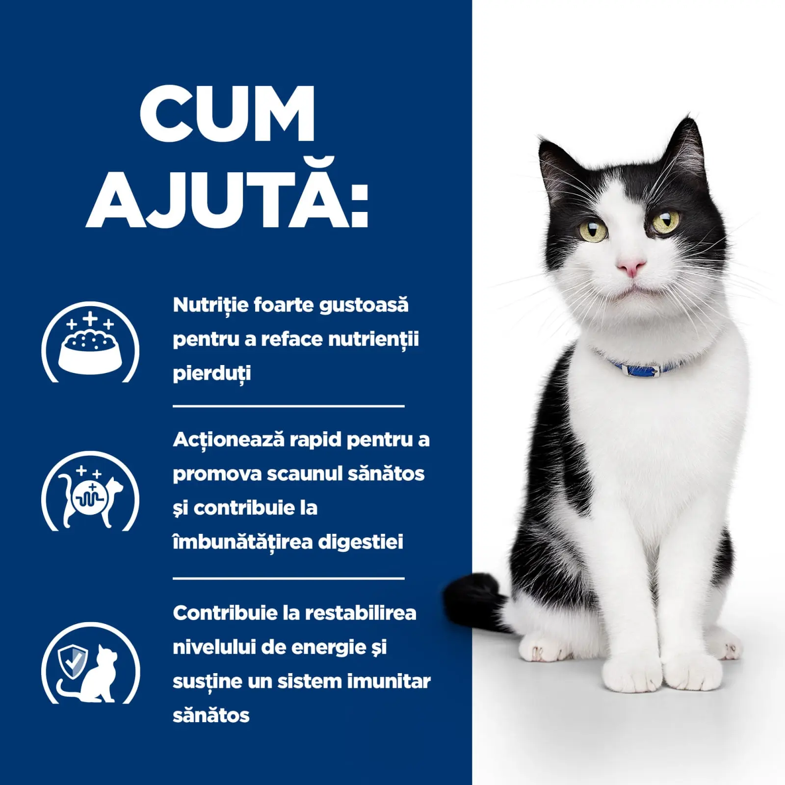 HILL'S Prescription Diet i/d Sensitive Digestive Care, Pui, dieta veterinara pisici, conserva hrana umeda, sistem digestiv, 156g - Image 7