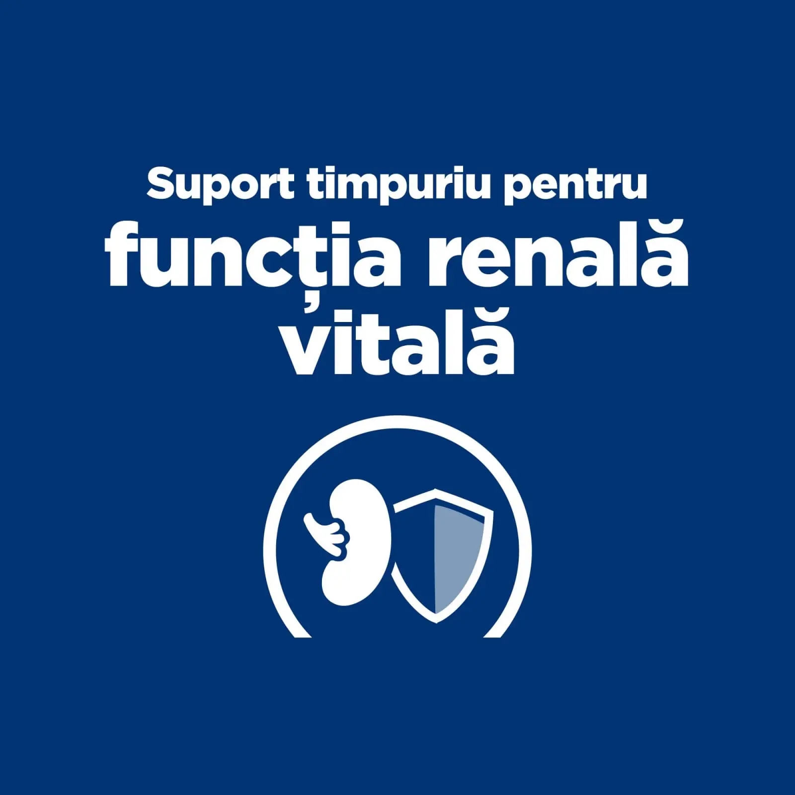 HILL'S Prescription Diet k/d Kidney Care Early Stage, dieta veterinara caini, hrana uscata, afectiuni renale HILL'S Prescription Diet k/d Kidney Care Early Stage, dieta veterinara caini, hrana uscata, sistem renal, 12kg - Image 4