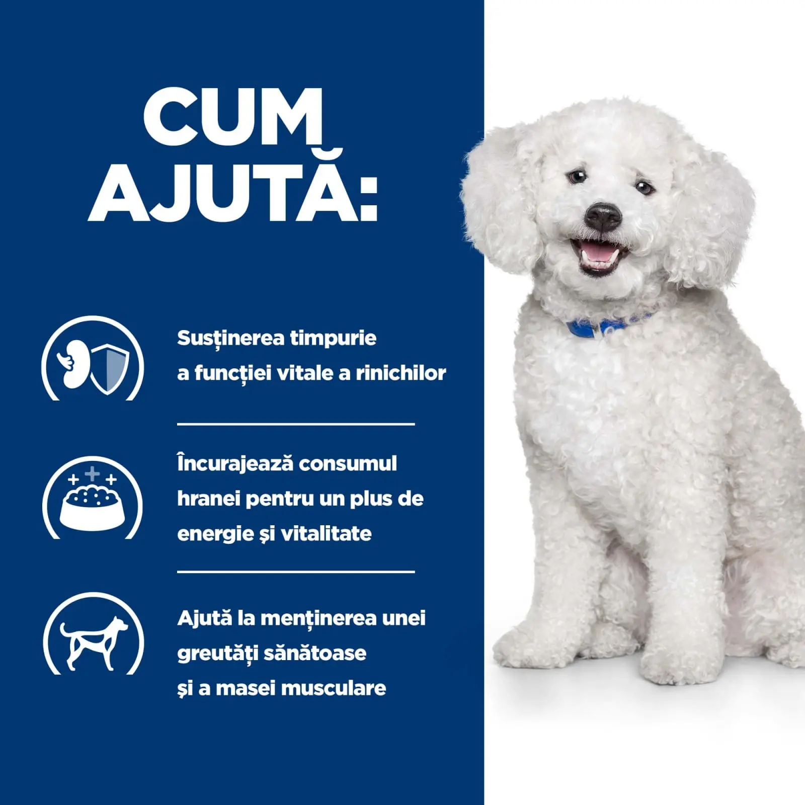 HILL'S Prescription Diet k/d Kidney Care Early Stage, dieta veterinara caini, hrana uscata, afectiuni renale HILL'S Prescription Diet k/d Kidney Care Early Stage, dieta veterinara caini, hrana uscata, sistem renal, 12kg - Image 5