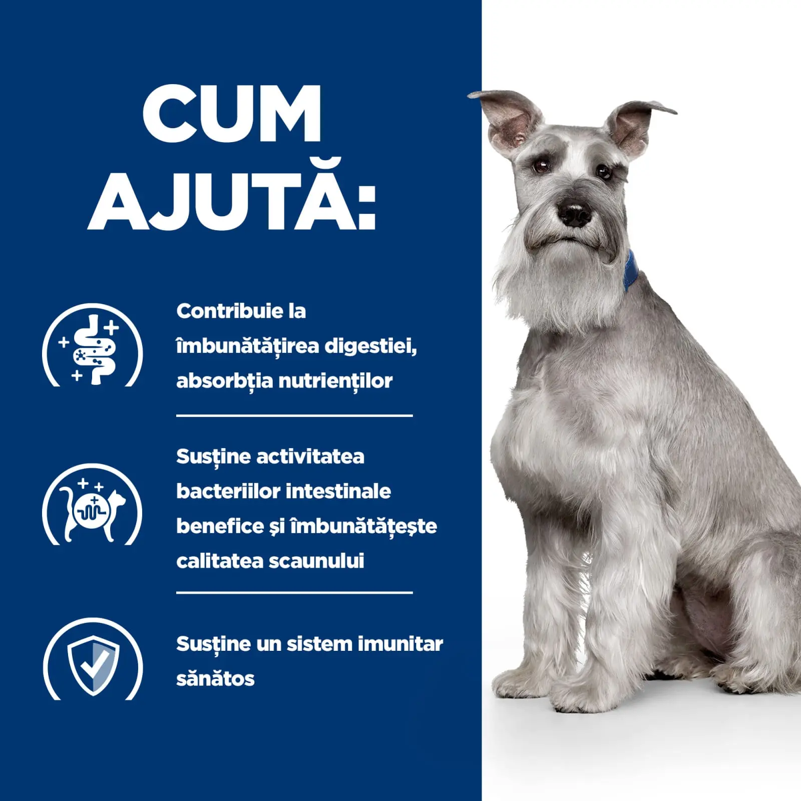 HILL'S Prescription Diet i/d Digestive Care Low Fat, Pui, dieta veterinara caini, hrana uscata, sensibilitati digestive HILL'S Prescription Diet i/d Digestive Care Low Fat, Pui, dieta veterinara caini, hrana uscata, sistem digestiv, 4kg - Image 5