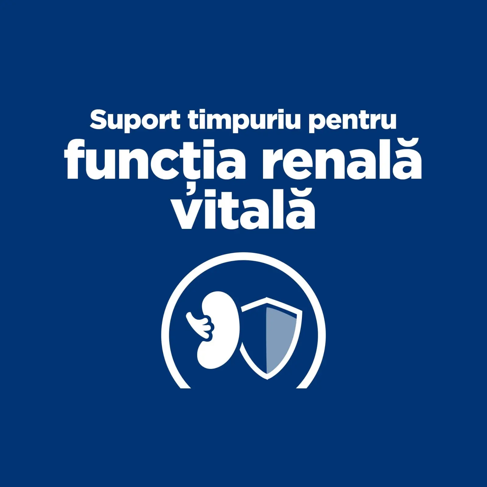 HILL'S Prescription Diet k/d Kidney Care Early Stage, dieta veterinara pisici, hrana uscata, afectiuni renale HILL'S Prescription Diet k/d Kidney Care Early Stage, dieta veterinara pisici, hrana uscata, sistem renal, 3kg - Image 4