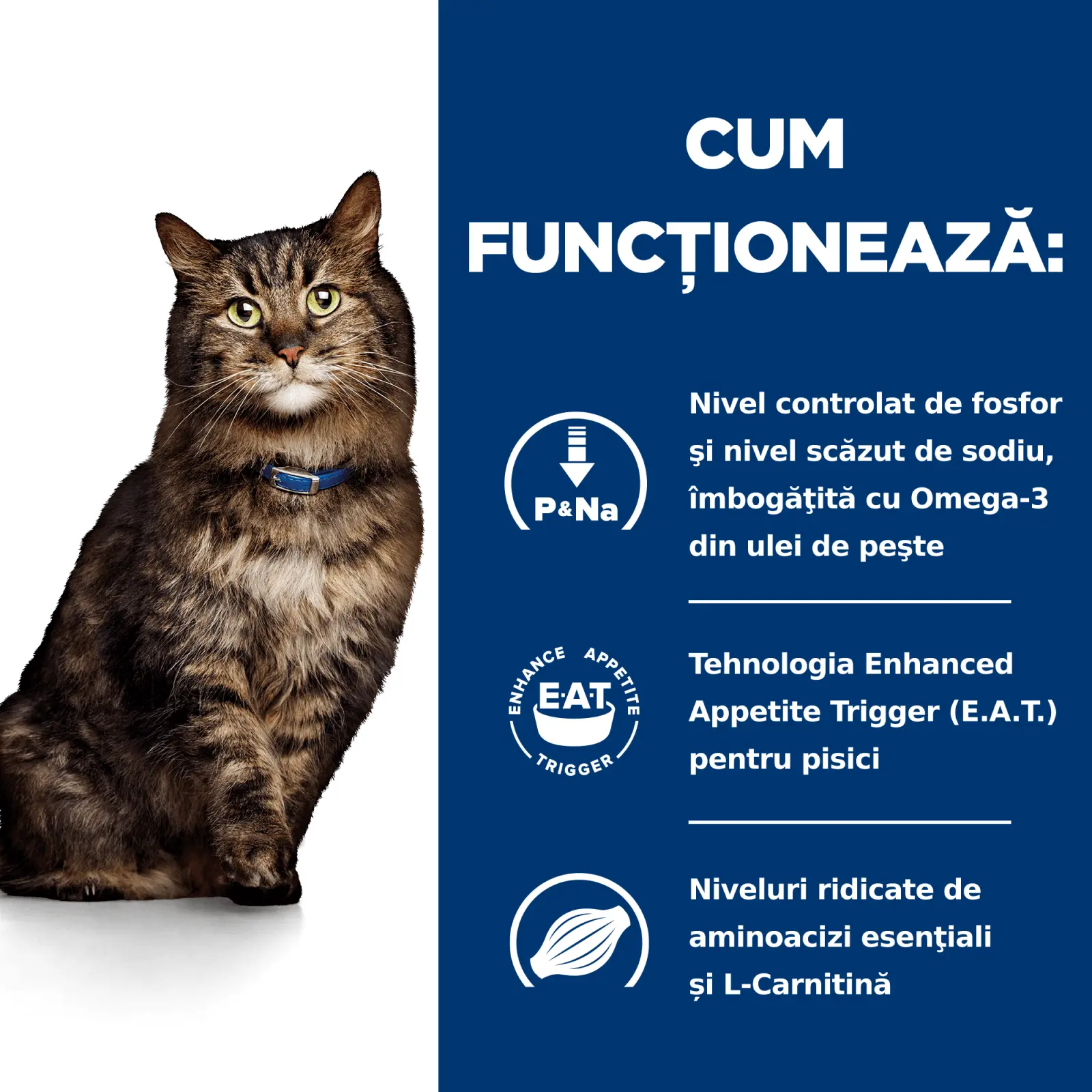 HILL'S Prescription Diet k/d Kidney Care Early Stage, dieta veterinara pisici, hrana uscata, afectiuni renale HILL'S Prescription Diet k/d Kidney Care Early Stage, dieta veterinara pisici, hrana uscata, sistem renal, 3kg - Image 7