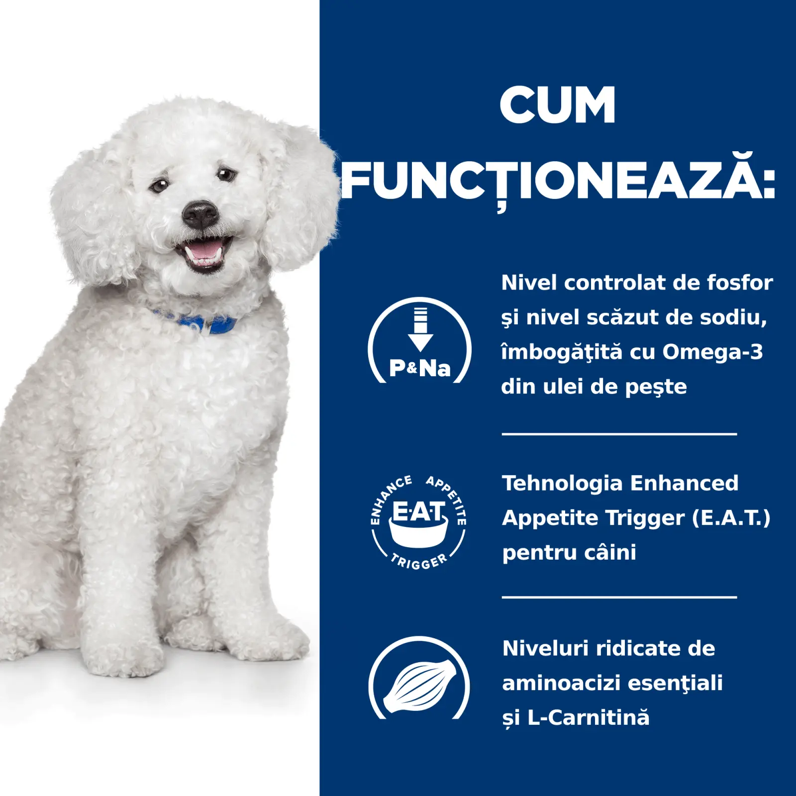 HILL'S Prescription Diet k/d Kidney Care Early Stage, dieta veterinara caini, hrana uscata, afectiuni renale HILL'S Prescription Diet k/d Kidney Care Early Stage, dieta veterinara caini, hrana uscata, sistem renal, 12kg - Image 8