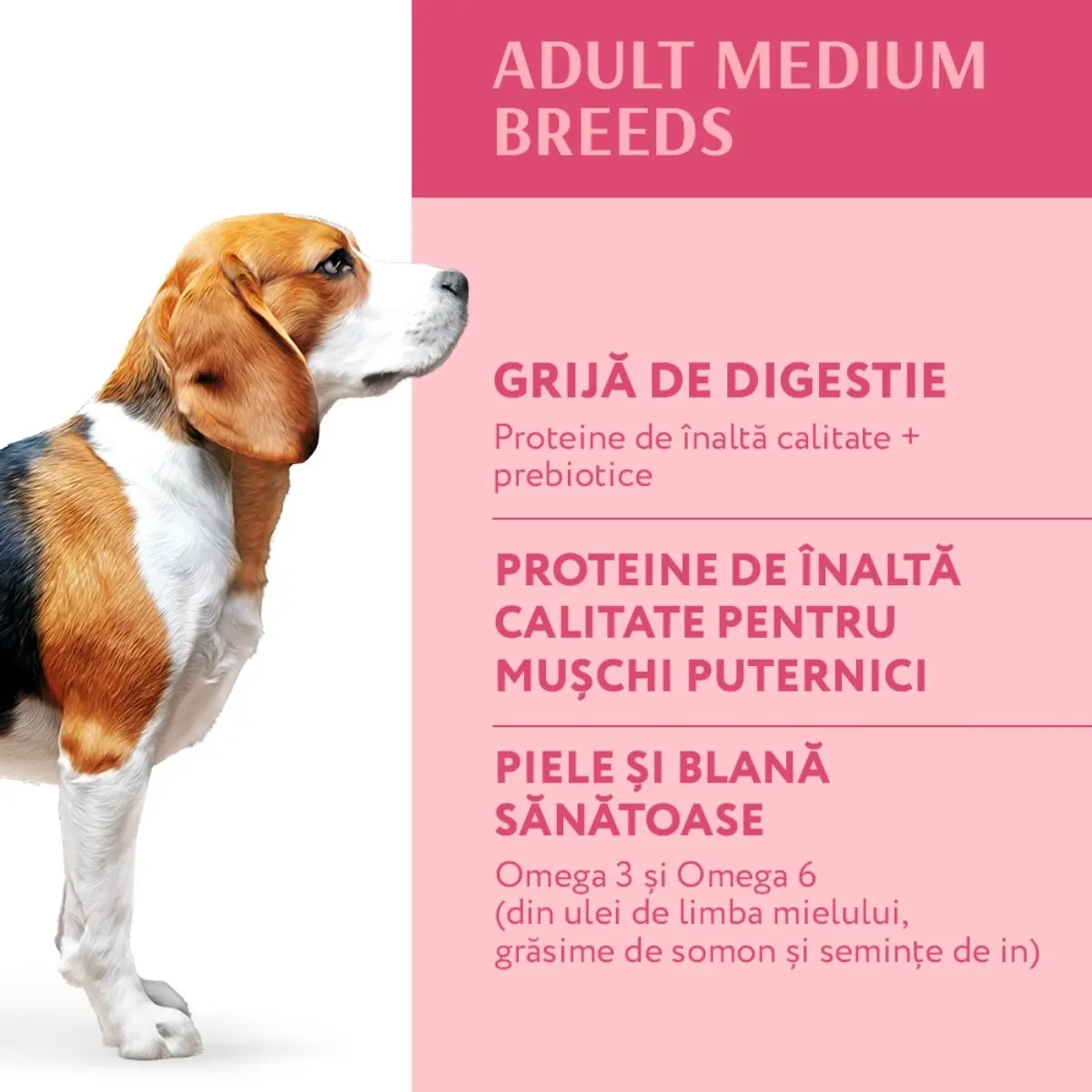 OPTIMEAL Adult M, Curcan, hrana uscata caini OPTIMEAL Adult, M, Curcan, hrana uscata caini, 12kg - Image 7