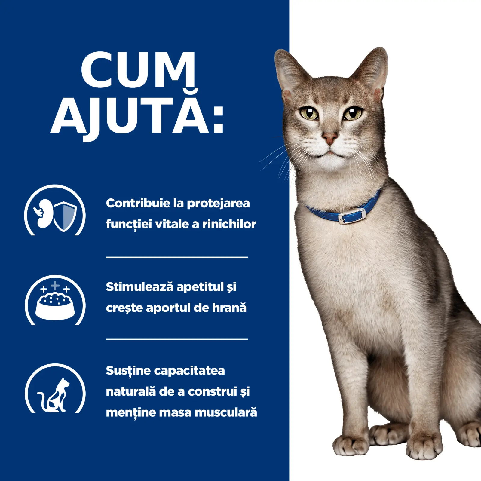 HILL'S Prescription Diet k/d Kidney Care, Somon, dieta veterinara pisici, plic hrana umeda, sistem renal, 85g x 12buc - Image 6