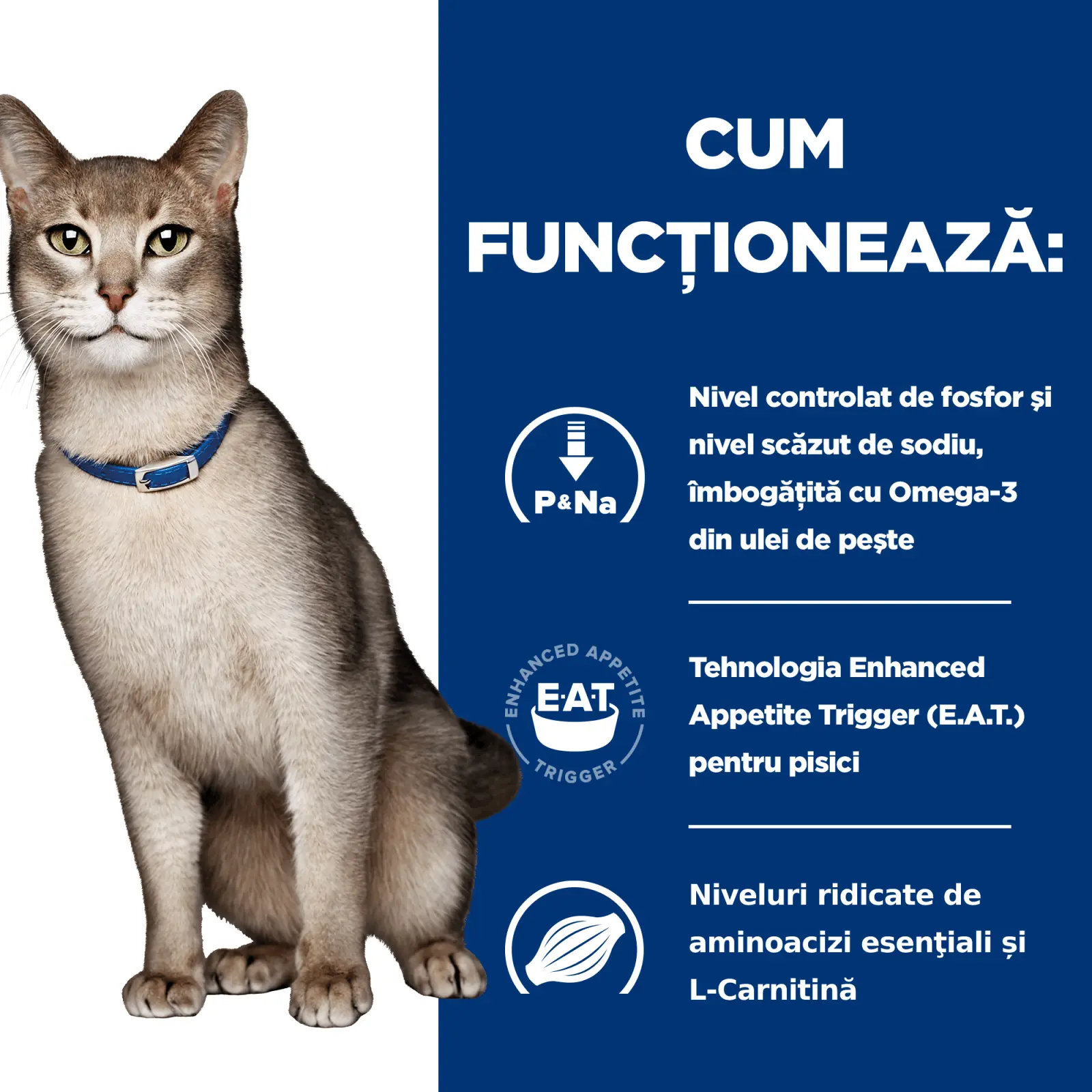 HILL'S Prescription Diet k/d Kidney Care, Somon, dieta veterinara pisici, plic hrana umeda, sistem renal, 85g x 12buc - Image 7