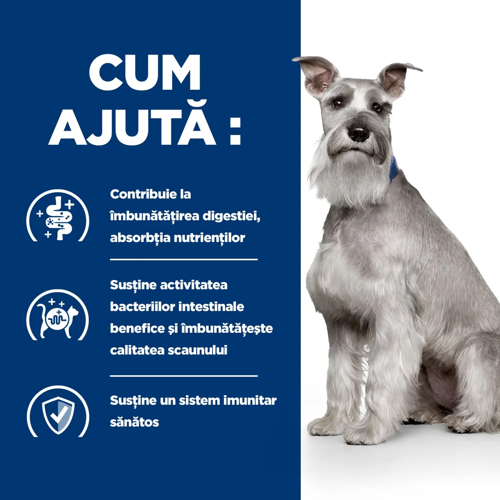 HILL'S Prescription Diet i/d Digestive Care Low Fat, Pui cu Legume, dieta veterinara caini, conserva hrana umeda, sensibilitati digestive HILL'S Prescription Diet i/d Digestive Care Low Fat, Pui cu Legume, dieta veterinara caini, conserva hrana umeda, si - Image 8