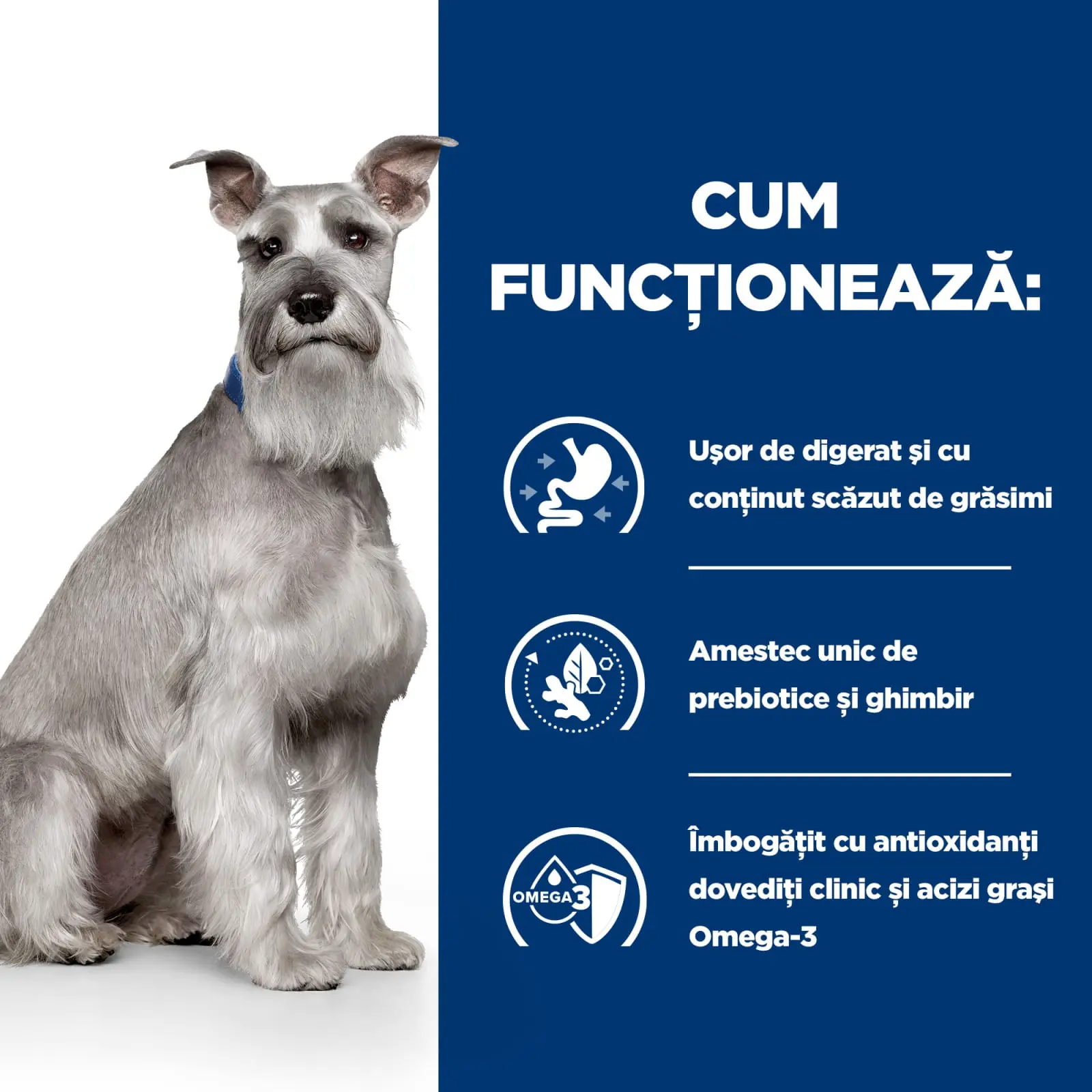 HILL'S Prescription Diet i/d Digestive Care Low Fat, Pui, dieta veterinara caini, hrana uscata, sensibilitati digestive HILL'S Prescription Diet i/d Digestive Care Low Fat, Pui, dieta veterinara caini, hrana uscata, sistem digestiv, 4kg - Image 9