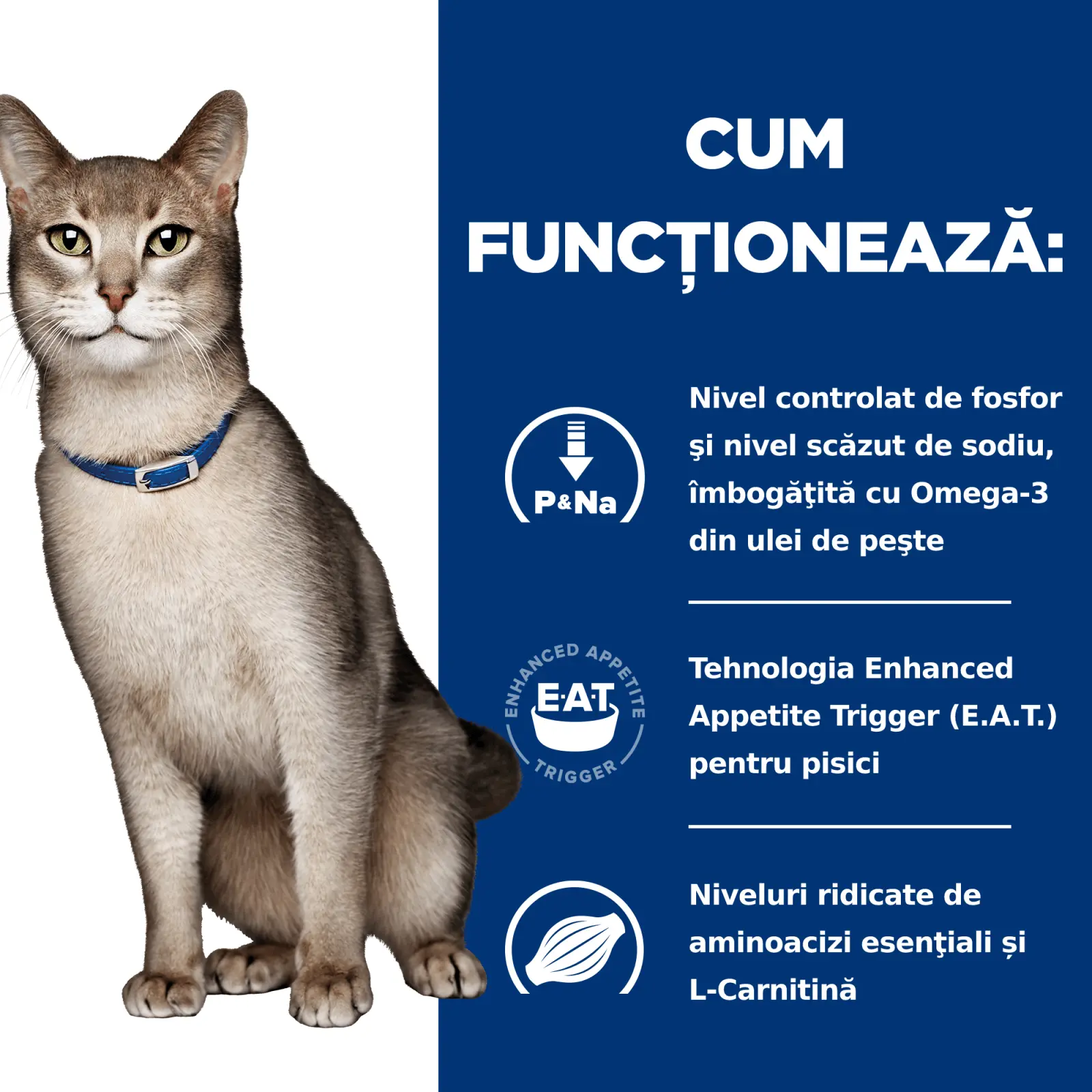 HILL'S Prescription Diet k/d Kidney Care, Vita, dieta veterinara pisici, plic hrana umeda, sistem renal, 85g x 12buc - Image 7