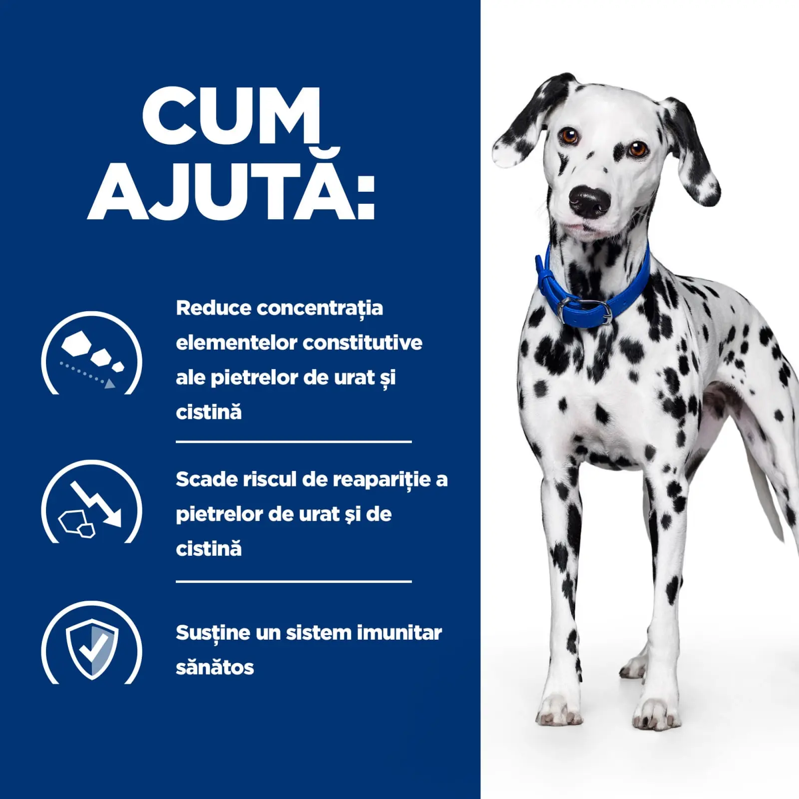HILL'S Prescription Diet u/d Urinary Care, dieta veterinara caini, conserva hrana umeda, sistem urinar, 370g - Image 2