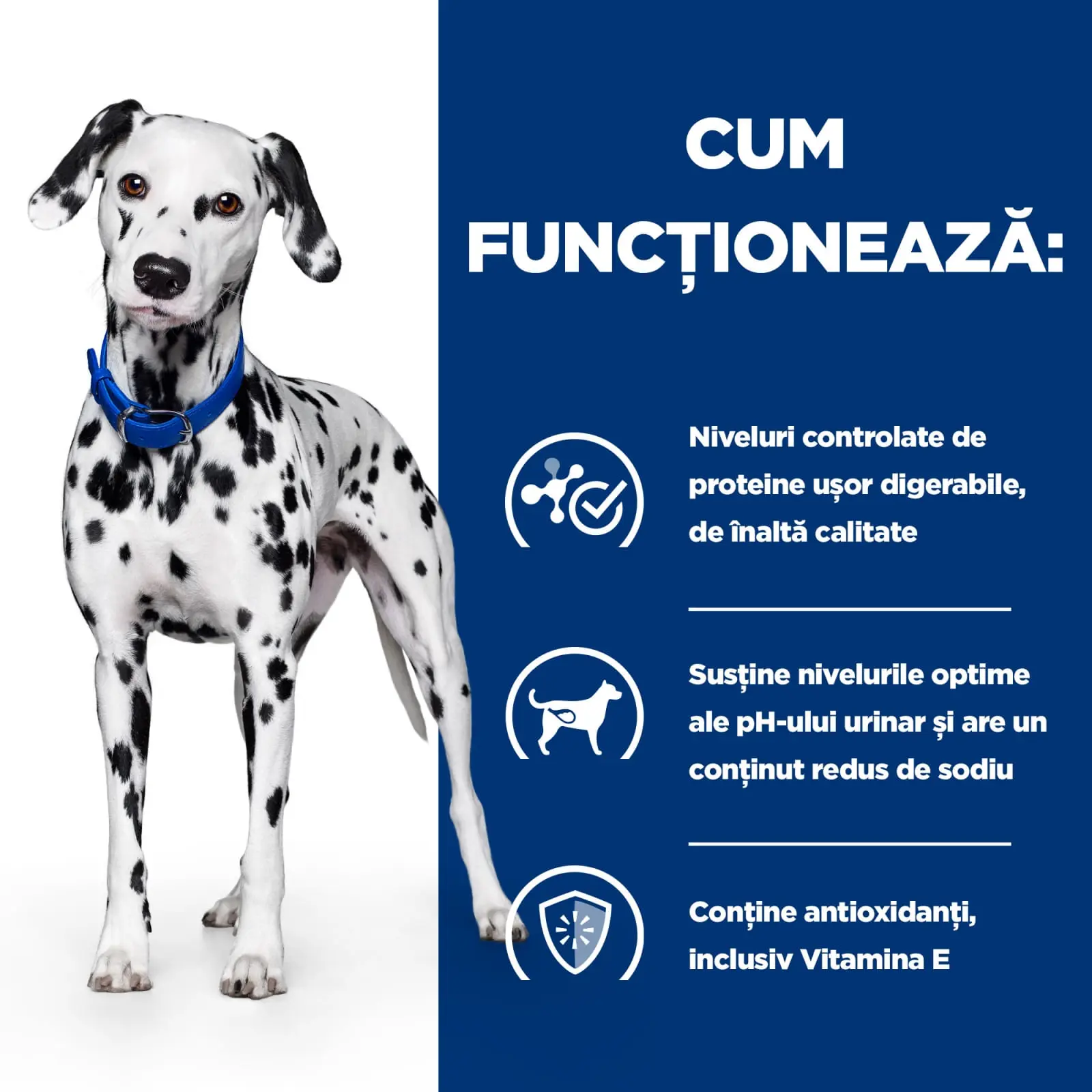 HILL'S Prescription Diet u/d Urinary Care, dieta veterinara caini, conserva hrana umeda, sistem urinar, 370g - Image 4