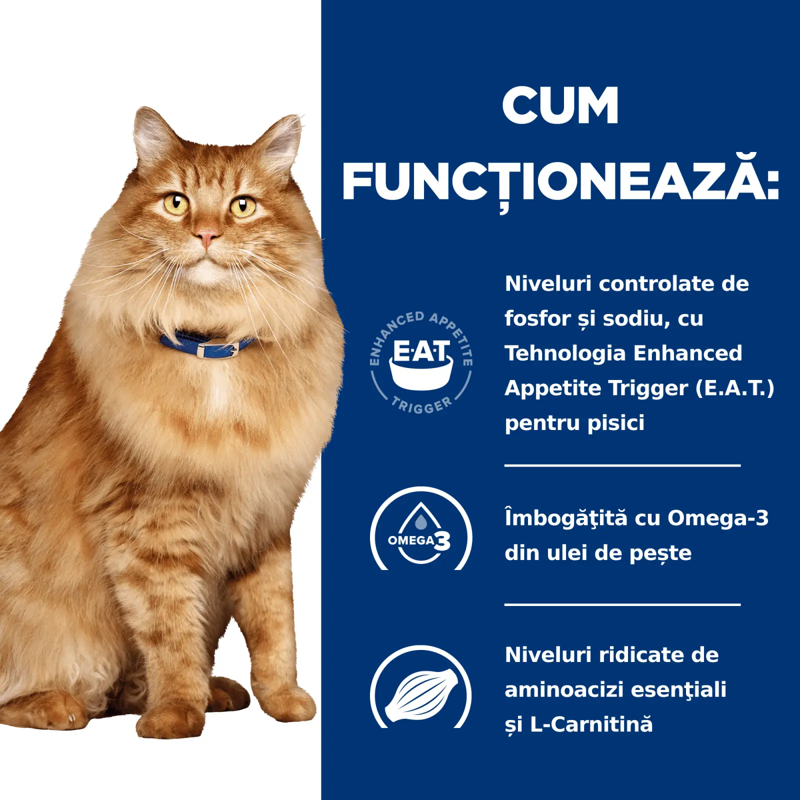 HILL'S Prescription Diet k/d+j/d Kidney Care + Mobility, Pui, dieta veterinara pisici, plic hrana umeda, sistem renal, sistem articular, 85g x 12buc - Image 8