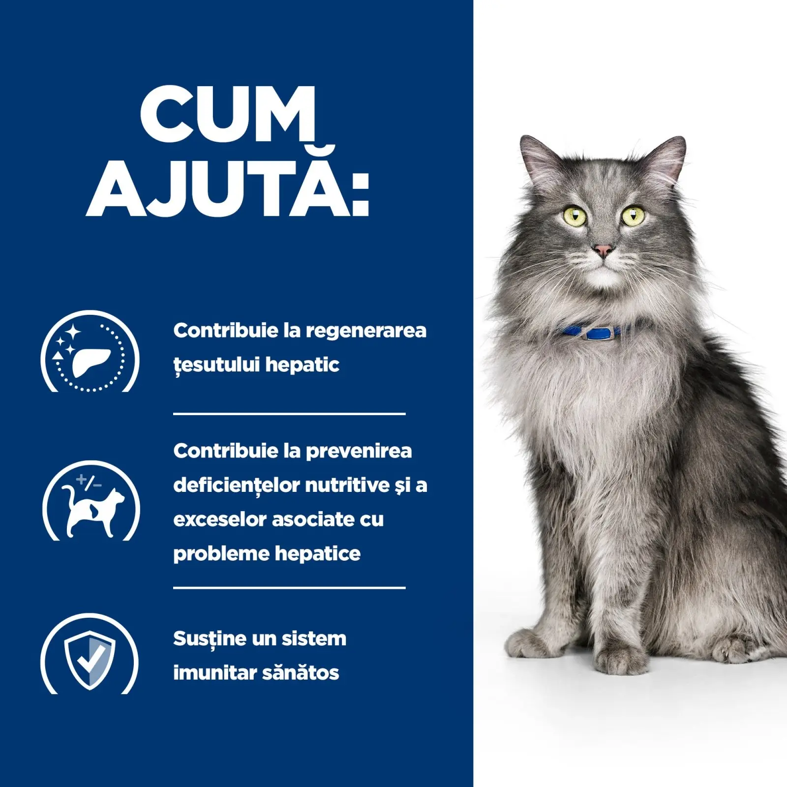 HILL'S Prescription Diet l/d Liver Care, Pui, dieta veterinara pisici, hrana uscata, sistem hepatic, 1.5kg - Image 5