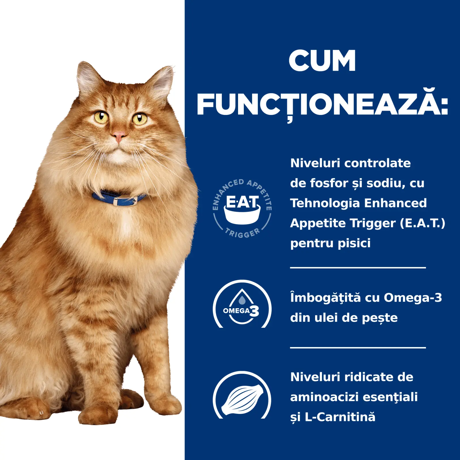 HILL'S Prescription Diet k/d+j/d Kidney Care + Mobility, Pui, dieta veterinara pisici, hrana uscata, afectiuni renale si articulare HILL'S Prescription Diet k/d+j/d Kidney Care + Mobility, Pui, dieta veterinara pisici, hrana uscata, sistem renal, sistem  - Image 10