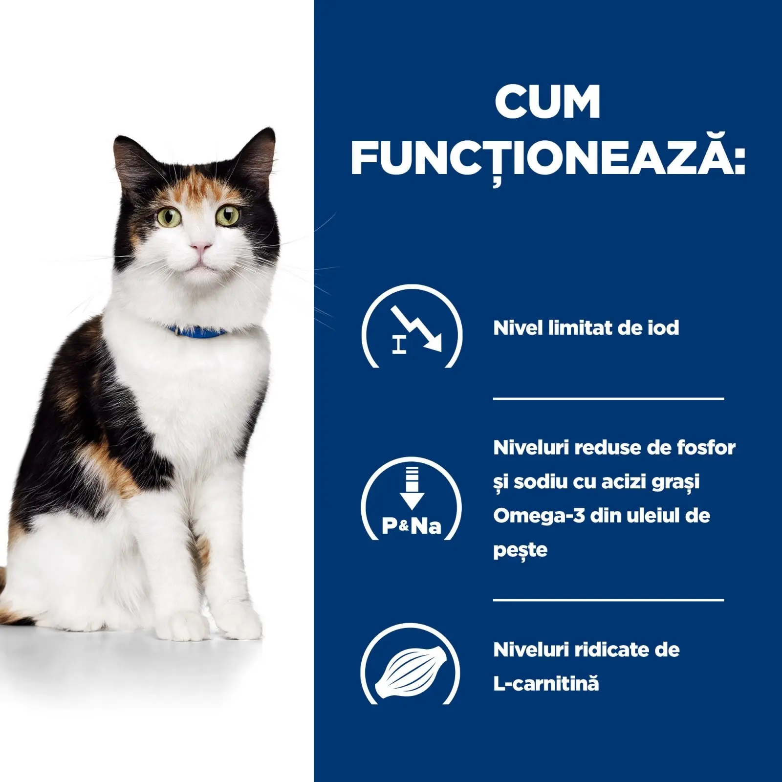 HILL'S Prescription Diet y/d Thyroid Care, dieta veterinara pisici, hrana uscata, afectiuni tiroidiene HILL'S Prescription Diet y/d Thyroid Care, dieta veterinara pisici, hrana uscata, metabolism ( obezitate si diabet), 3kg - Image 8