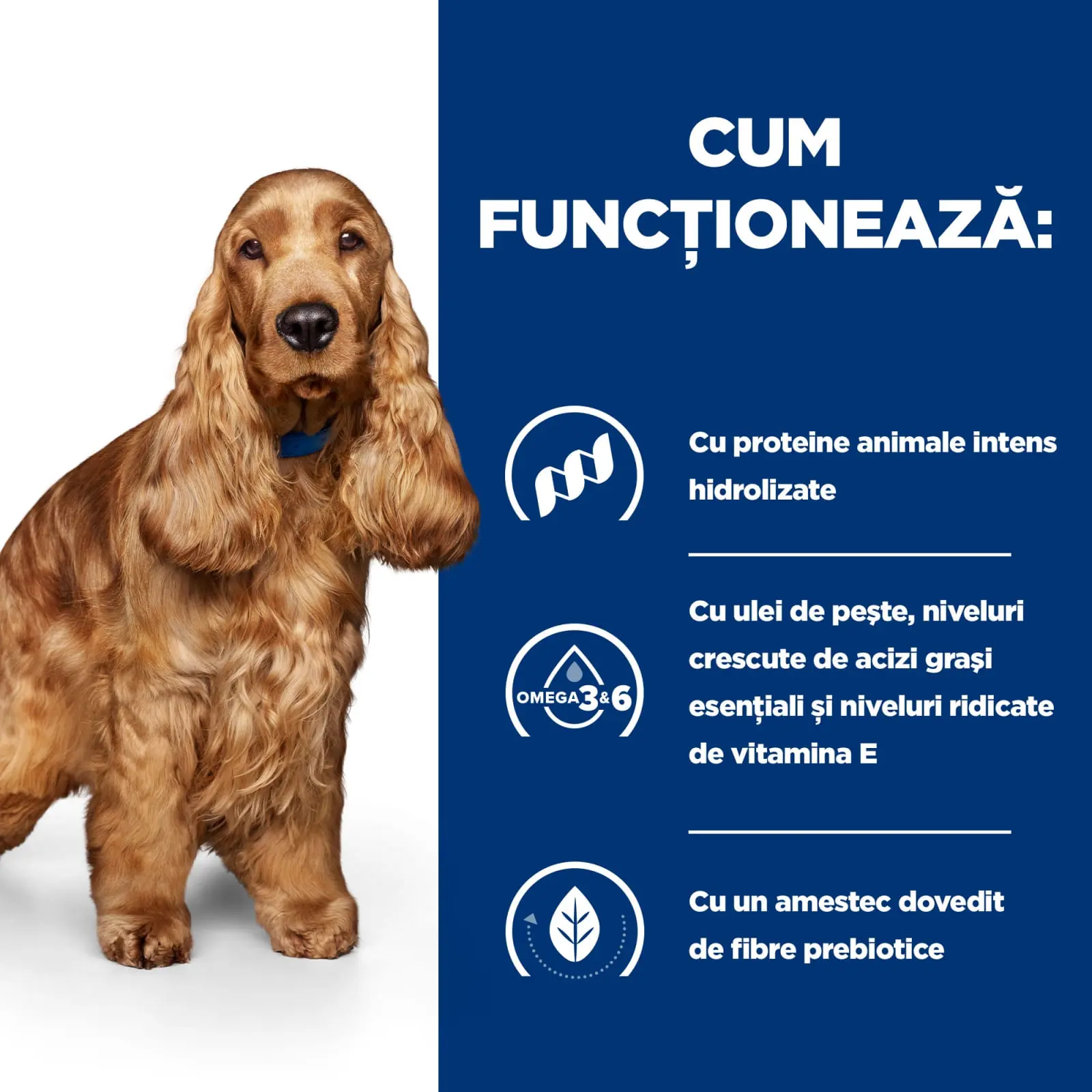 HILL'S Prescription Diet z/d Food Sensitivities, dieta veterinara caini, hrana uscata, afectiuni dermatologice si digestive HILL'S Prescription Diet z/d Food Sensitivities, dieta veterinara caini, hrana uscata, piele & blana, sistem digestiv, 10kg - Image 7
