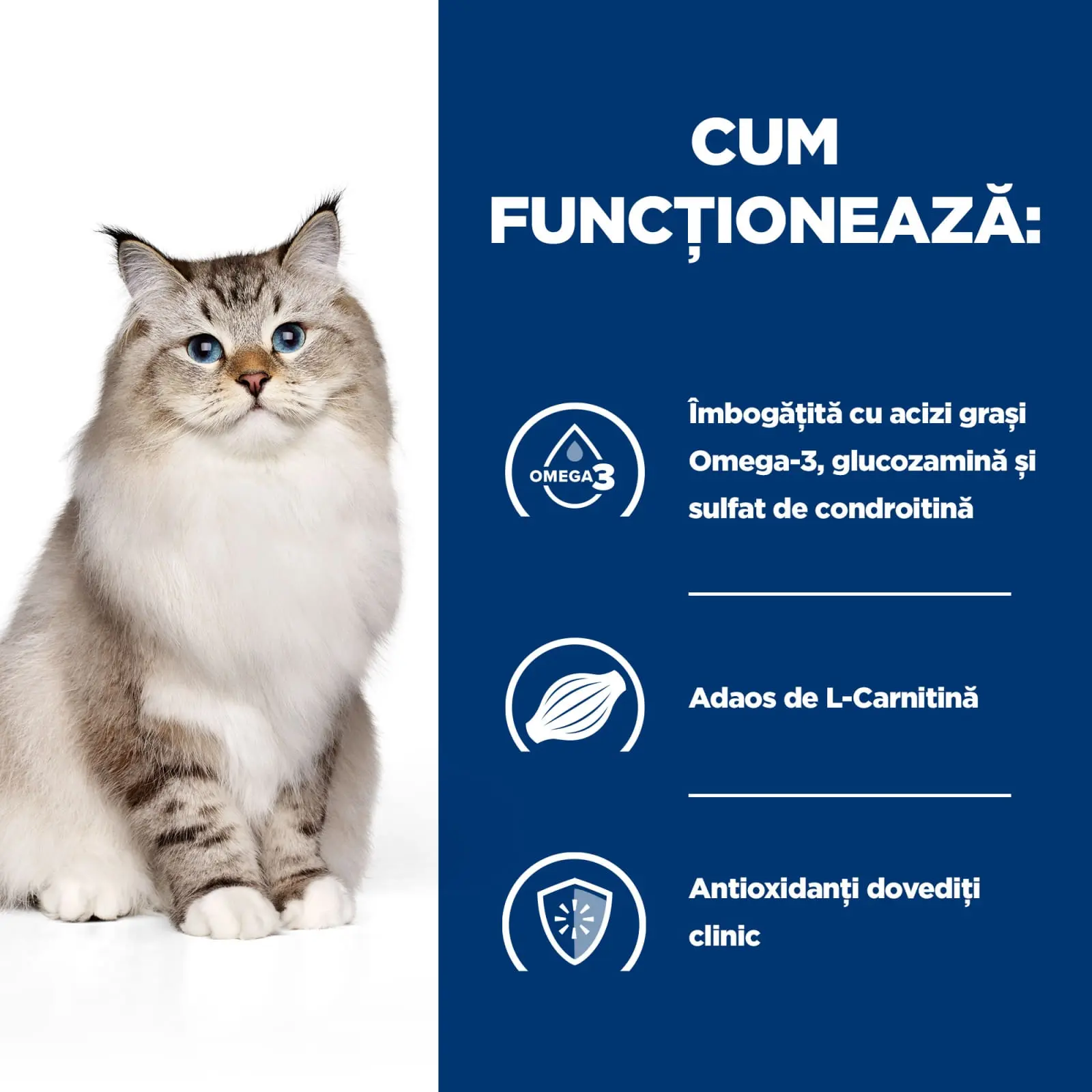 HILL'S Prescription Diet j/d Mobility, Pui, dieta veterinara pisici, hrana uscata, sistem articular, 1.5kg - Image 5