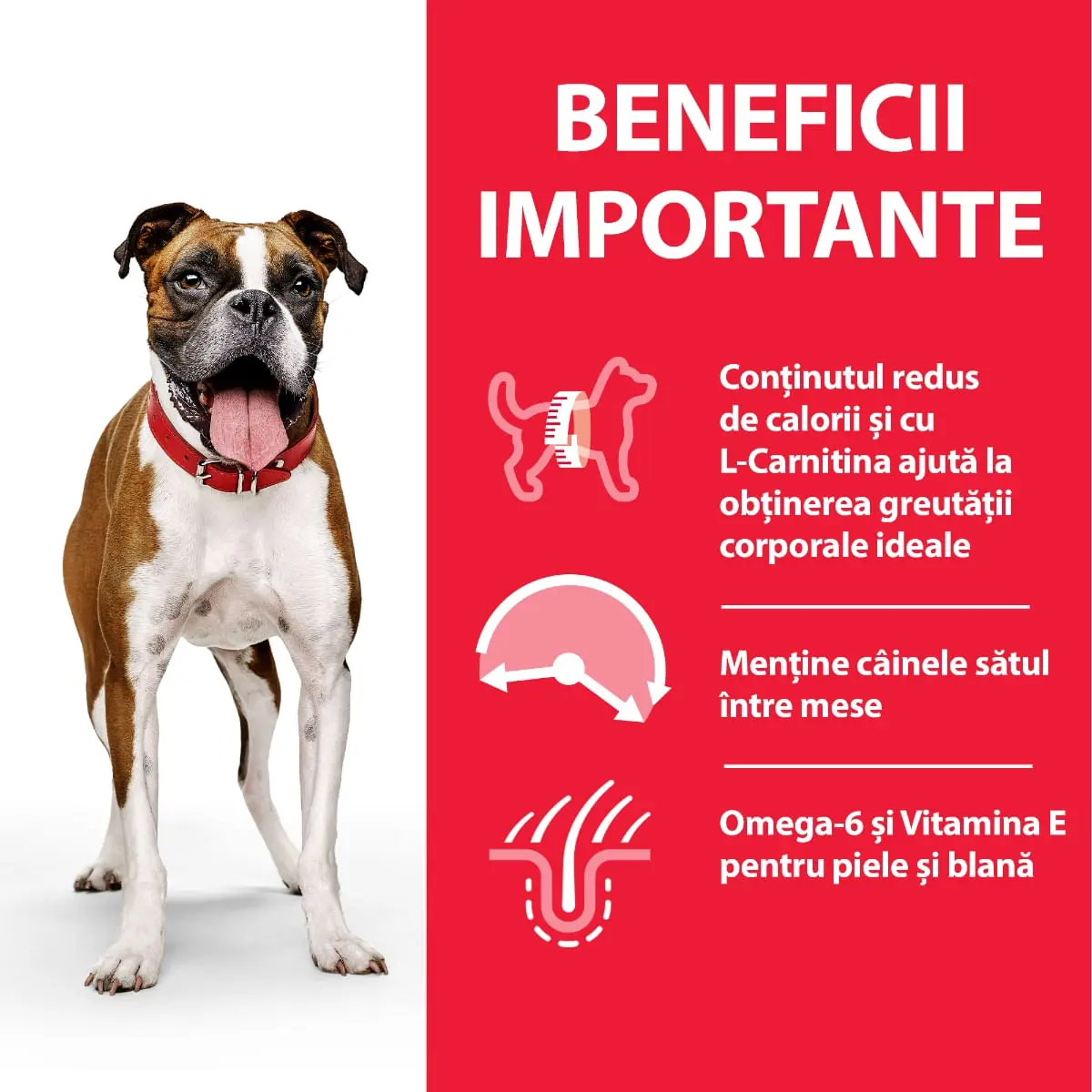 HILL'S SCIENCE PLAN Light, XS-XL, Pui, conserva hrana umeda caini, managementul greutatii, (pate), 370g - Image 3