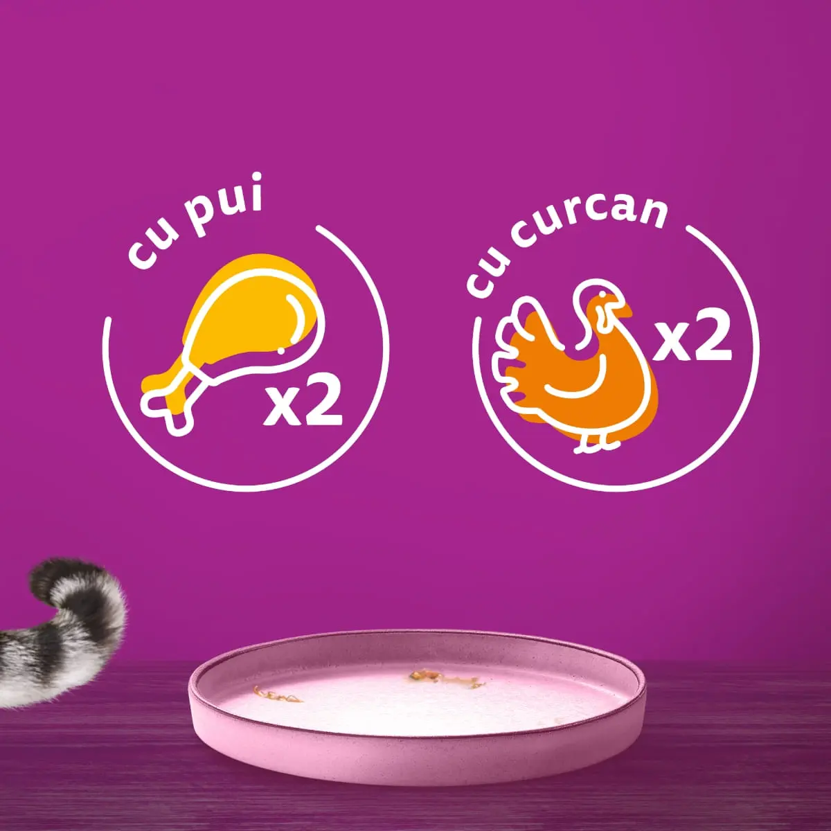 WHISKAS Pure Delight Junior Selectii Pasare, Pui si Curcan, plic hrana umeda pisici junior, (in aspic), multipack, 85g x 4 - Image 2