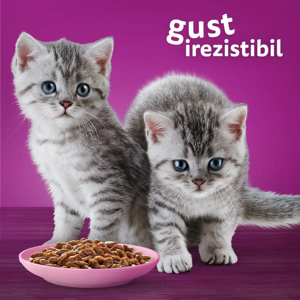 WHISKAS Junior Selectii Clasice, Vita si Pui, plic hrana umeda pisici junior, (in aspic), multipack, 85g x 4 - Image 5