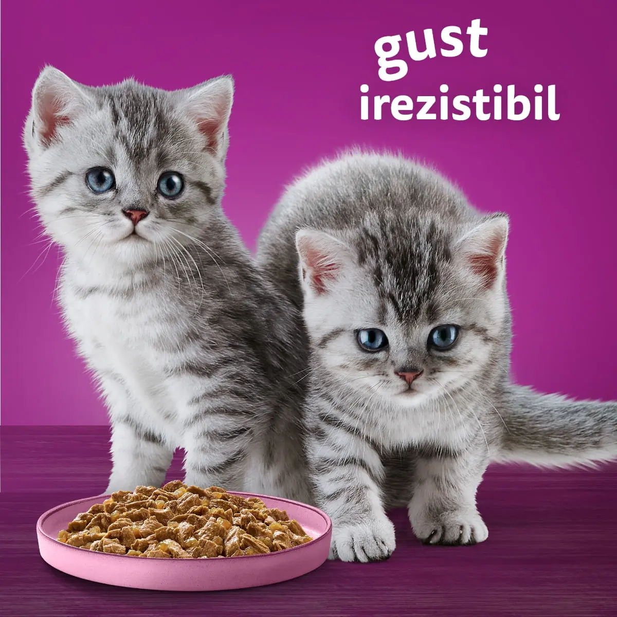 WHISKAS Pure Delight Junior Selectii Pasare, Pui si Curcan, plic hrana umeda pisici junior, (in aspic), multipack, 85g x 4 - Image 7