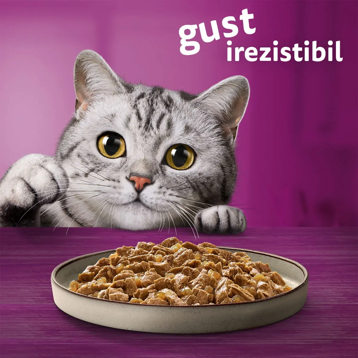 WHISKAS Pure Delight Selectii Clasice, Vita si Pui, plic hrana umeda pisici, (in aspic), multipack, 85g x 4 - Image 7