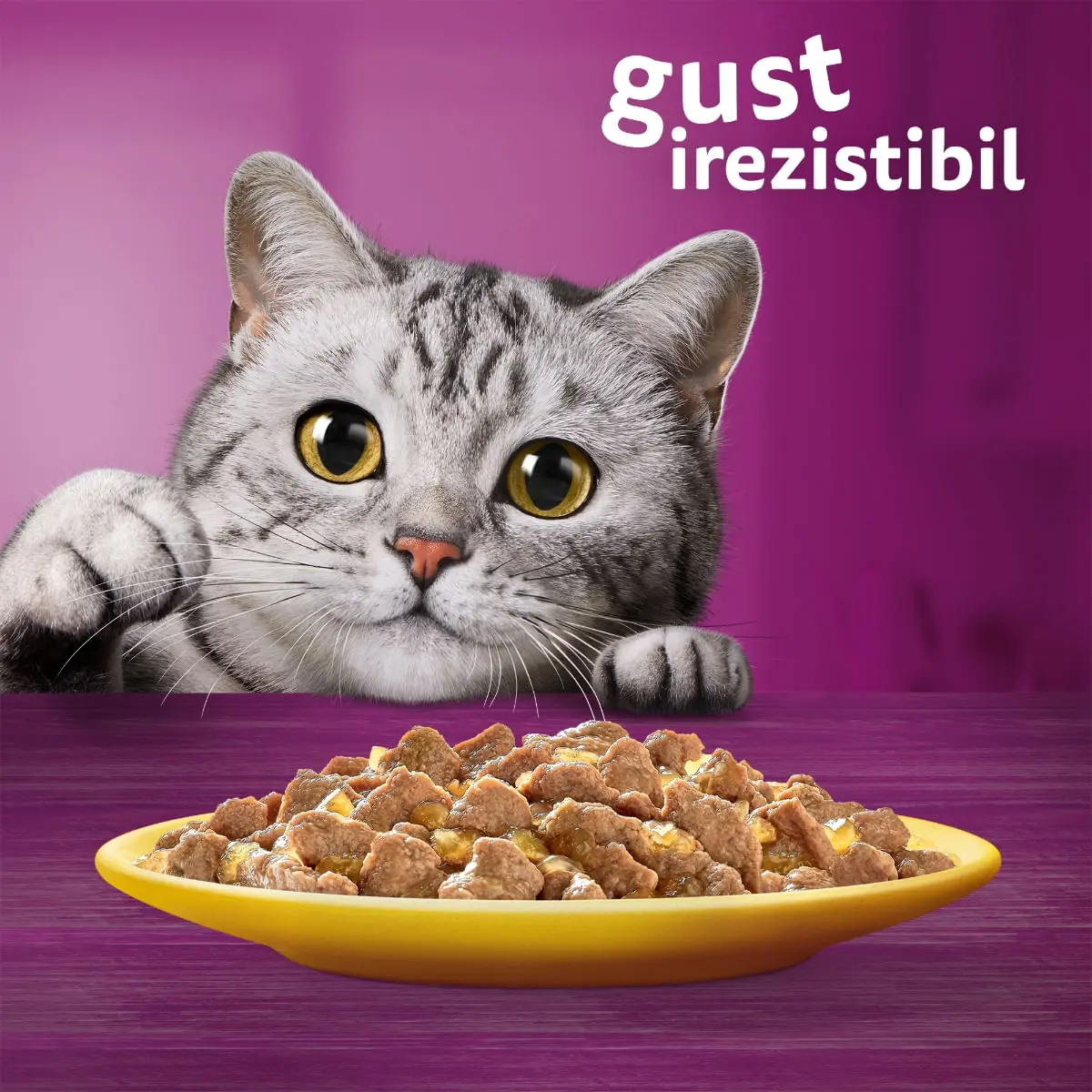 WHISKAS, Pui, plic hrana umeda pisici, (in aspic), 85g - Image 5