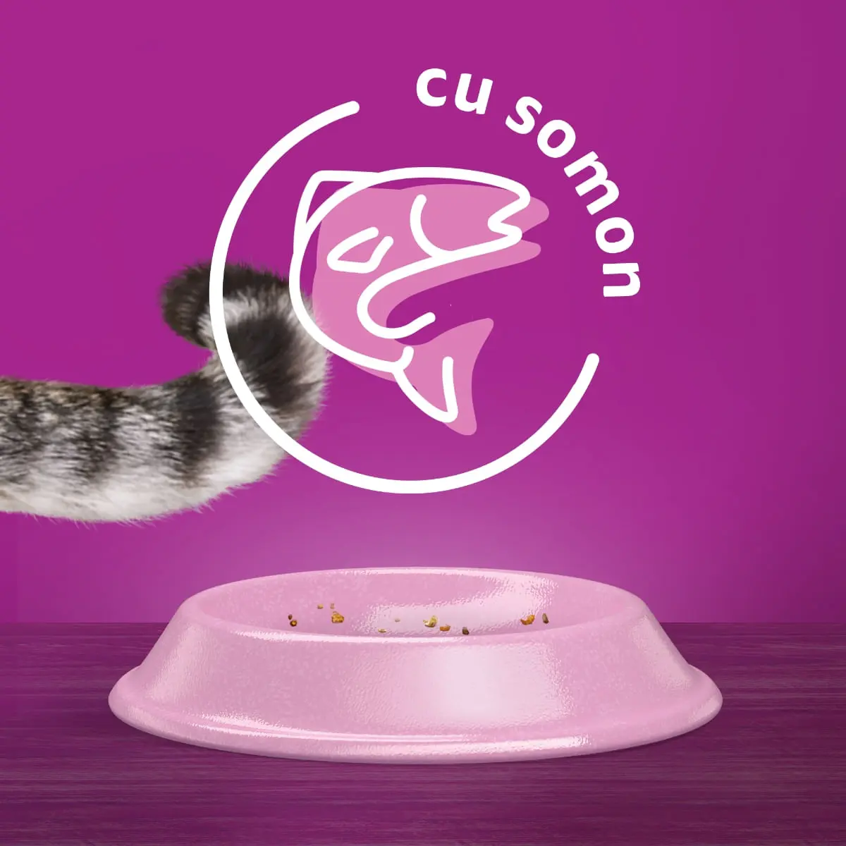 WHISKAS Adult Sterile, Somon, hrana uscata pisici sterilizate, 1.4kg - Image 3