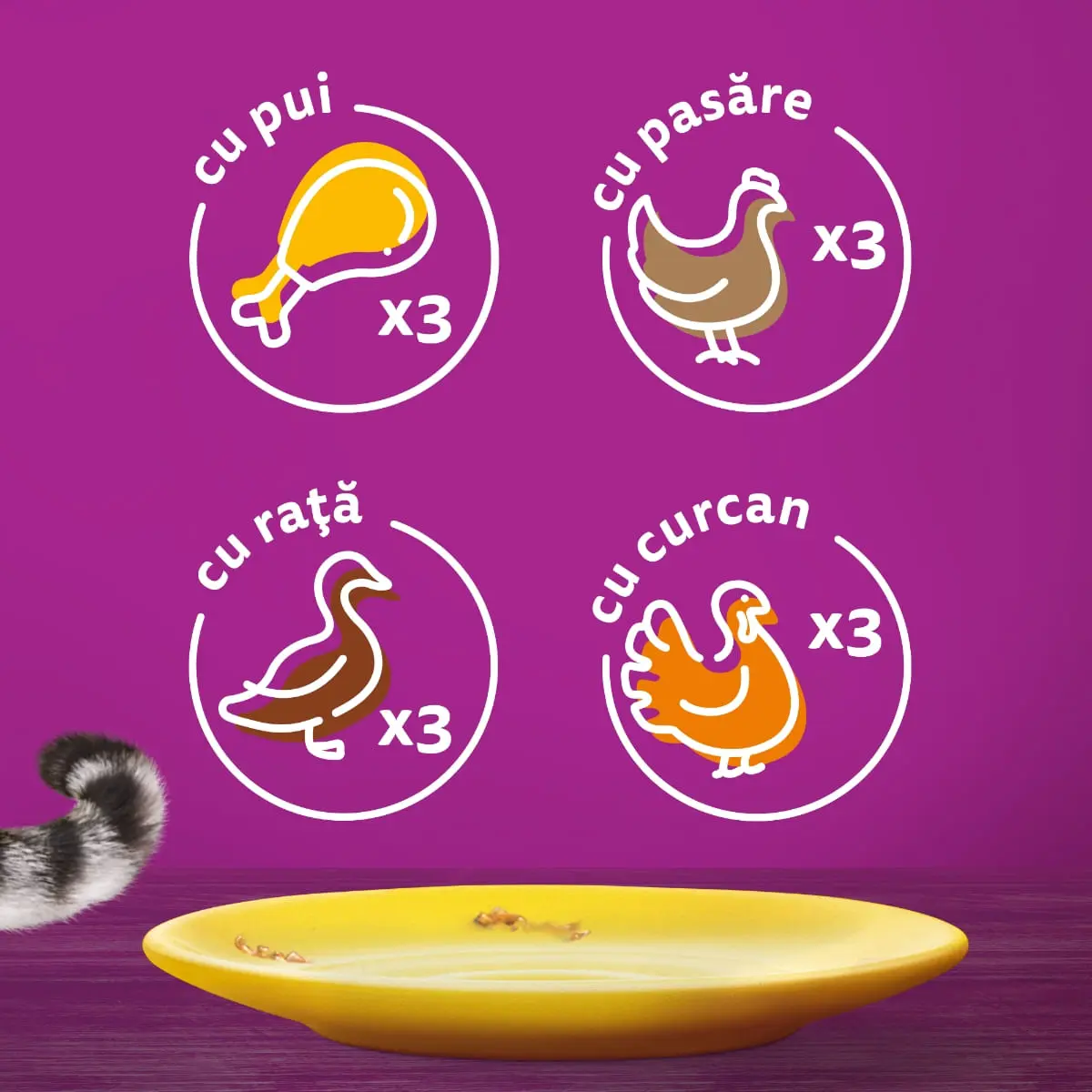WHISKAS 1+ Poultry Feasts, Pasare, plic hrana umeda pisici, (in aspic) WHISKAS 1+ Poultry Feasts Selectii, Pasare, plic hrana umeda pisici, (in aspic), multipack, 85g x 12 - Image 5